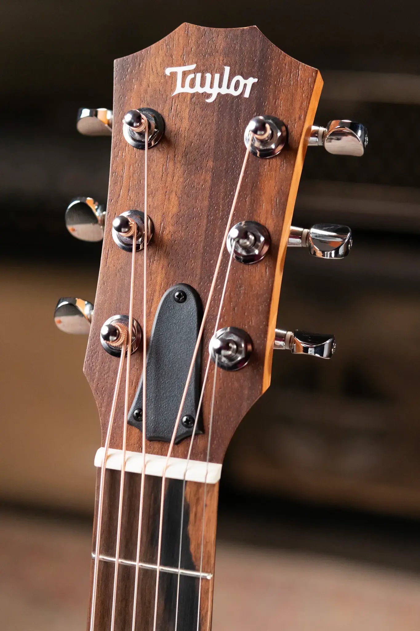 Taylor GS Mini Special Edition Guitars 4 Vets Americana Acoustic Guitar with GS Mini Bag