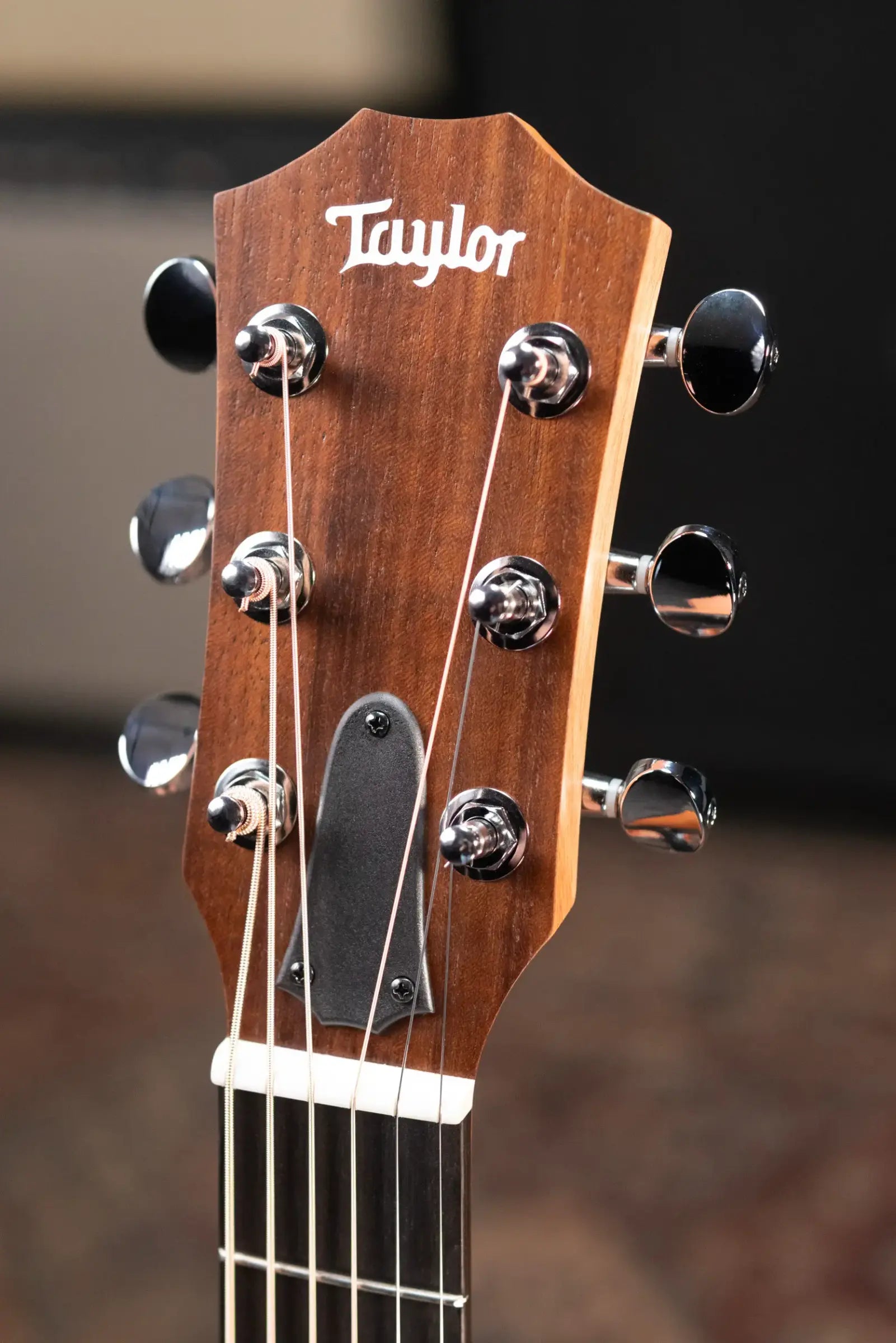 Taylor GS Mini Special Edition Guitars 4 Vets Americana Acoustic Guitar with Gig Bag