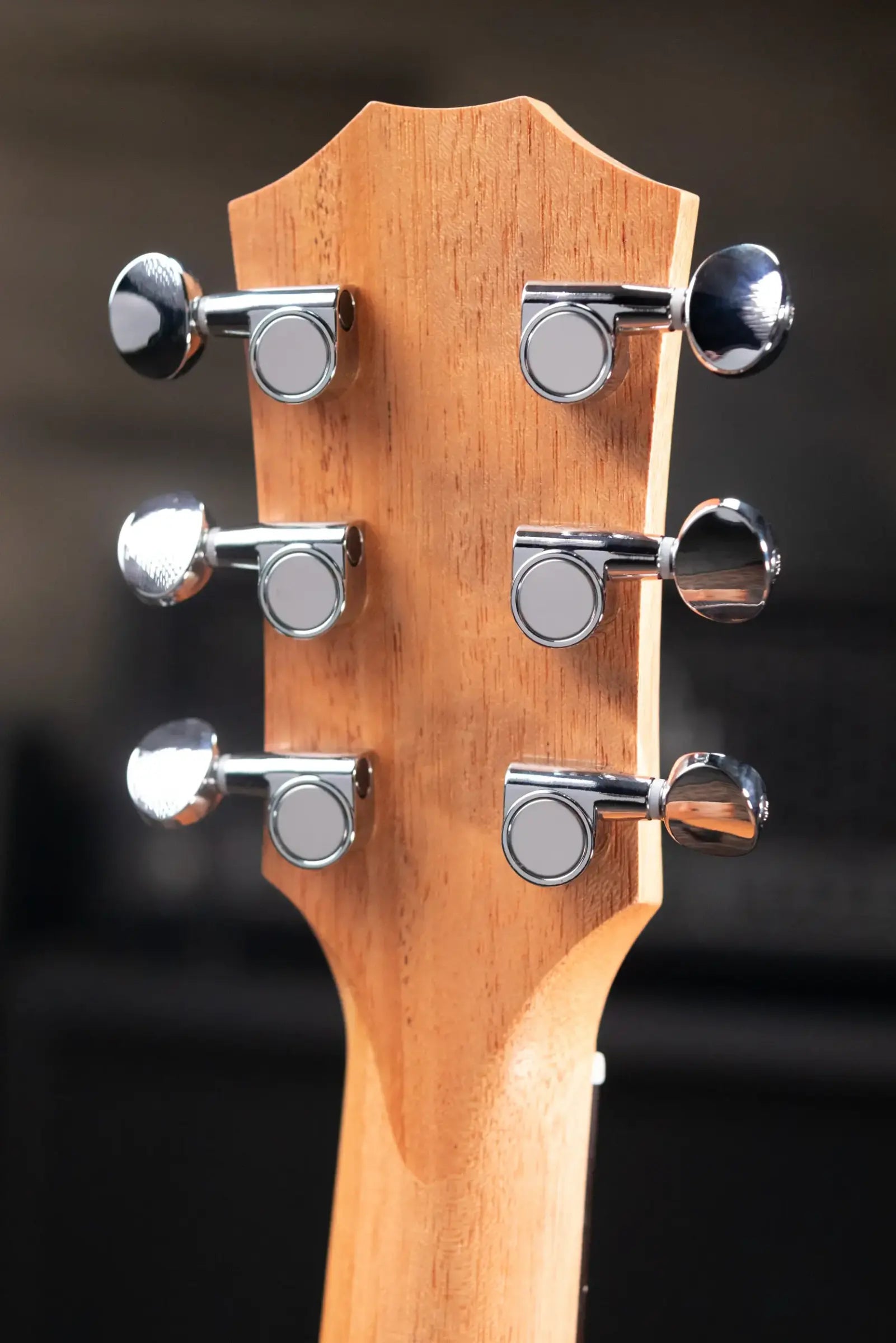 Taylor GS Mini Special Edition Guitars 4 Vets Americana Acoustic Guitar with Gig Bag