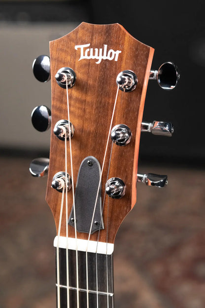 Taylor GS Mini Special Edition Guitars 4 Vets Americana Acoustic Guitar with Gig Bag
