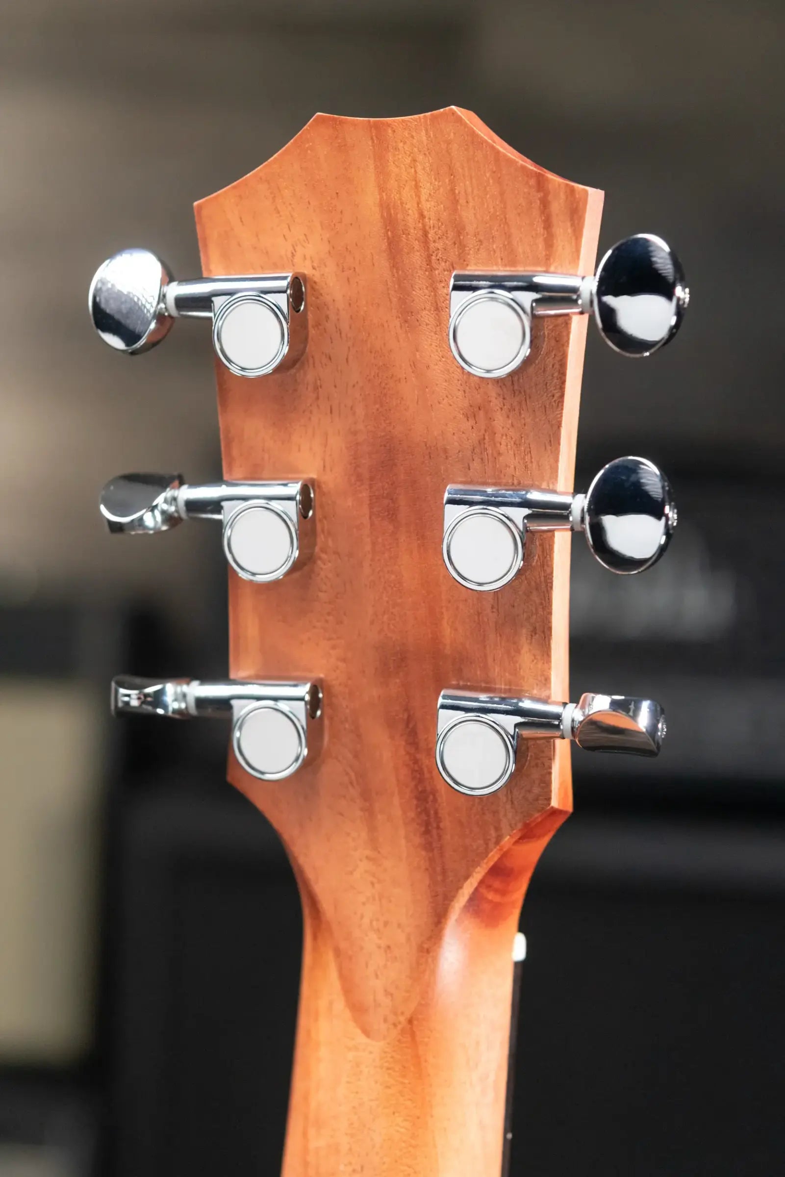 Taylor GS Mini Special Edition Guitars 4 Vets Americana Acoustic Guitar with Gig Bag