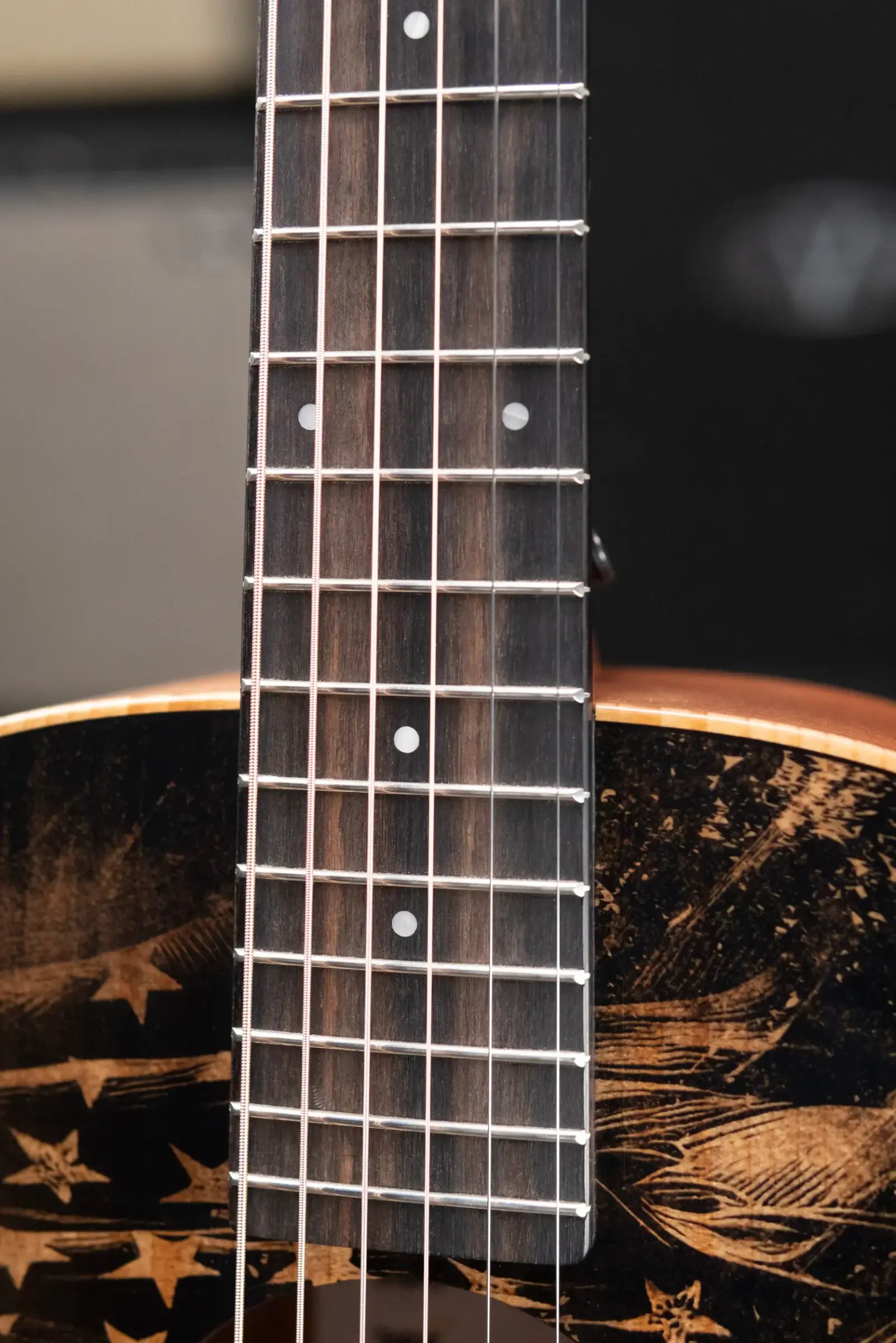 Taylor GS Mini Special Edition Guitars 4 Vets Americana Acoustic Guitar with Gig Bag