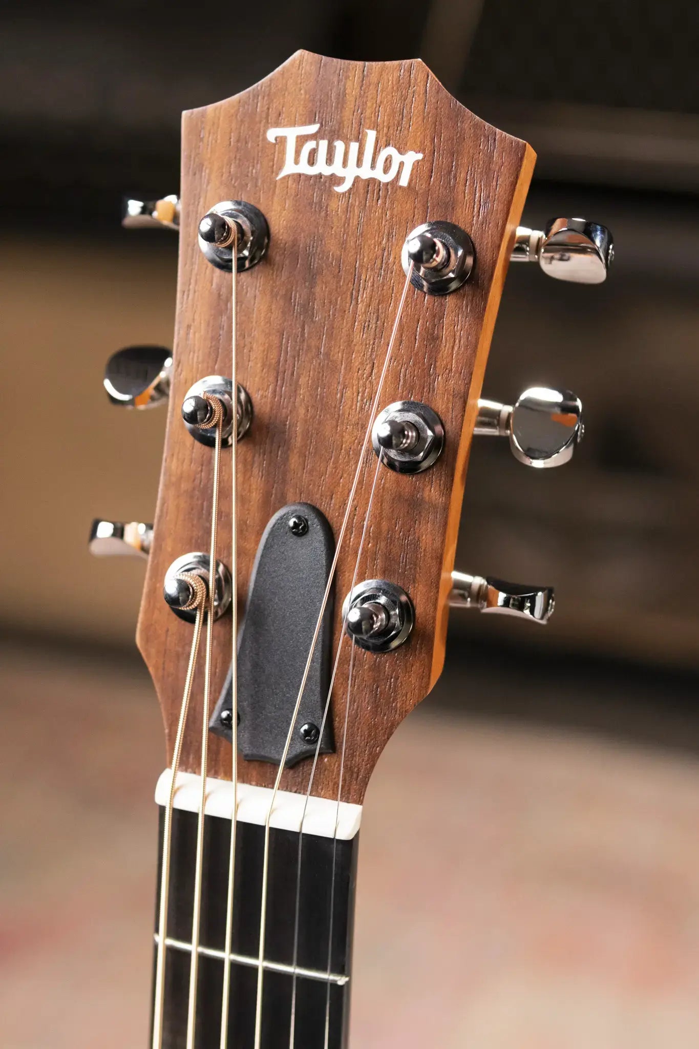 Taylor GS Mini Special Edition ZEDD Telos Acoustic Guitar with Gig Bag