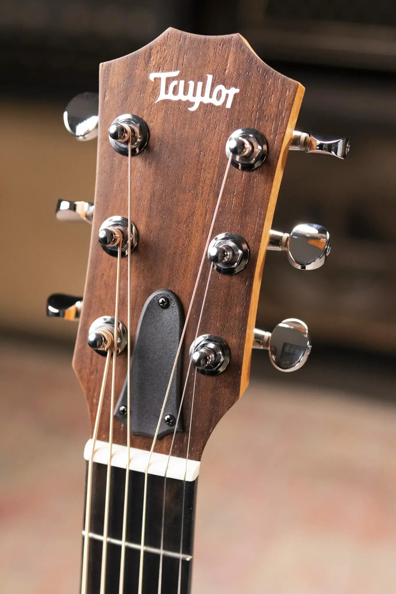 Taylor GS Mini Special Edition ZEDD Telos Acoustic Guitar with Gig Bag