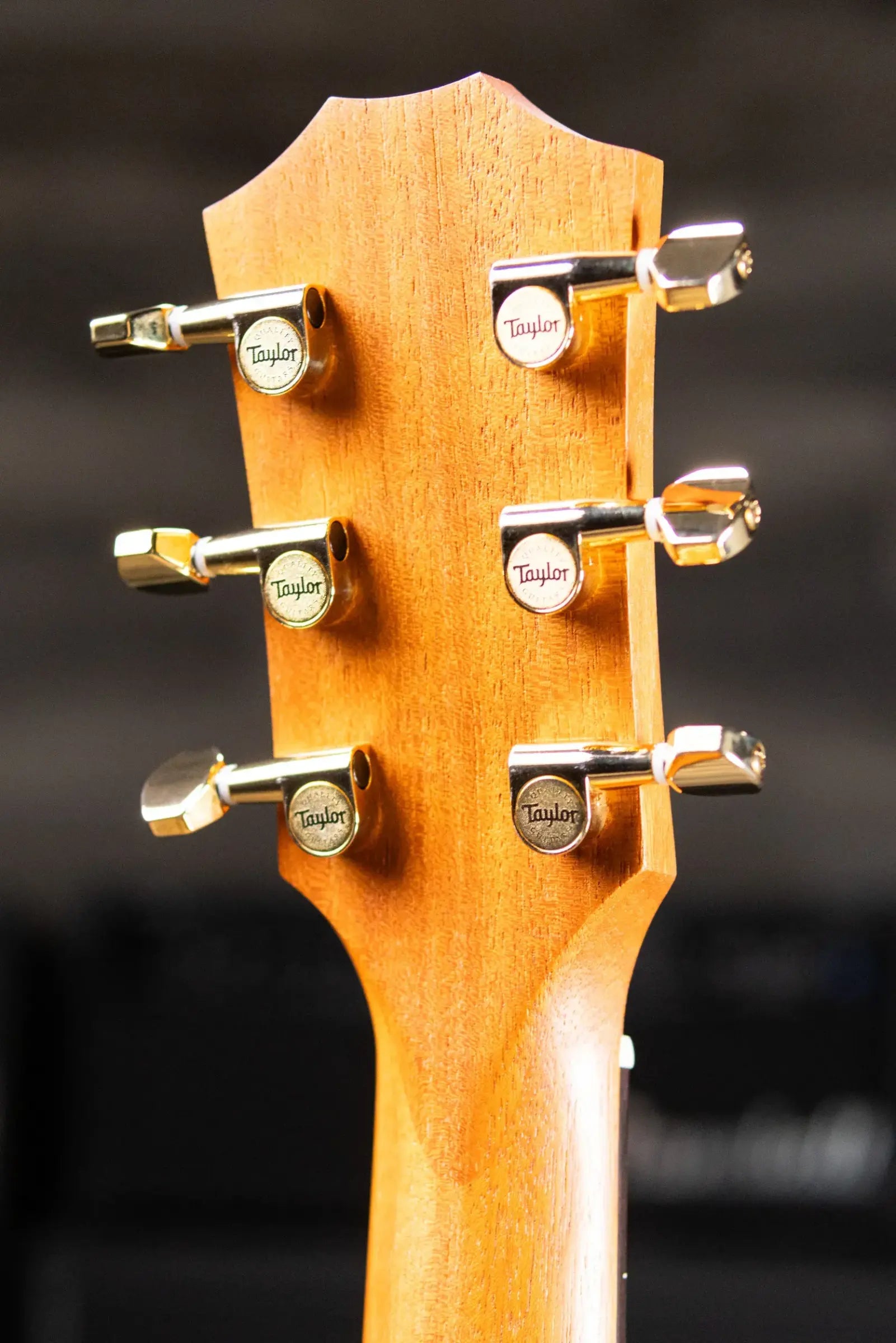 Taylor GS Mini-e Acoustic/Electric Guitar - Figured Ovangkol with GS Mini Hard Bag - Factory Demo