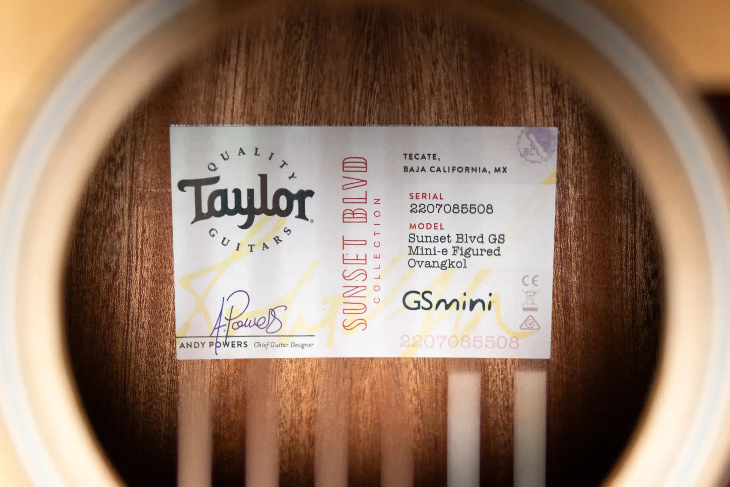 Taylor GS Mini-e Acoustic/Electric Guitar - Figured Ovangkol with GS Mini Hard Bag - Factory Demo