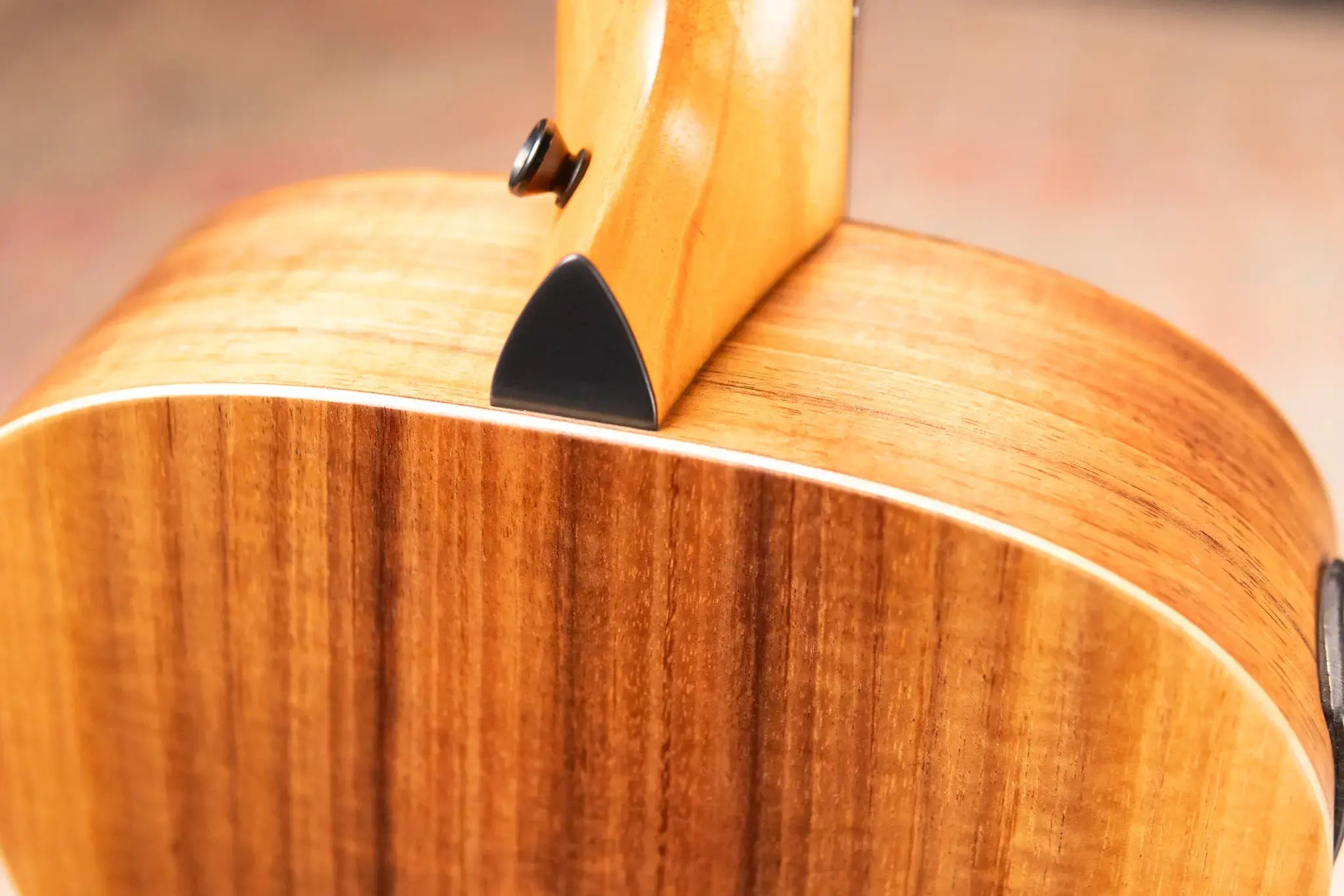 Taylor GS Mini-e Koa Acoustic/Electric Bass with GS Mini Bag