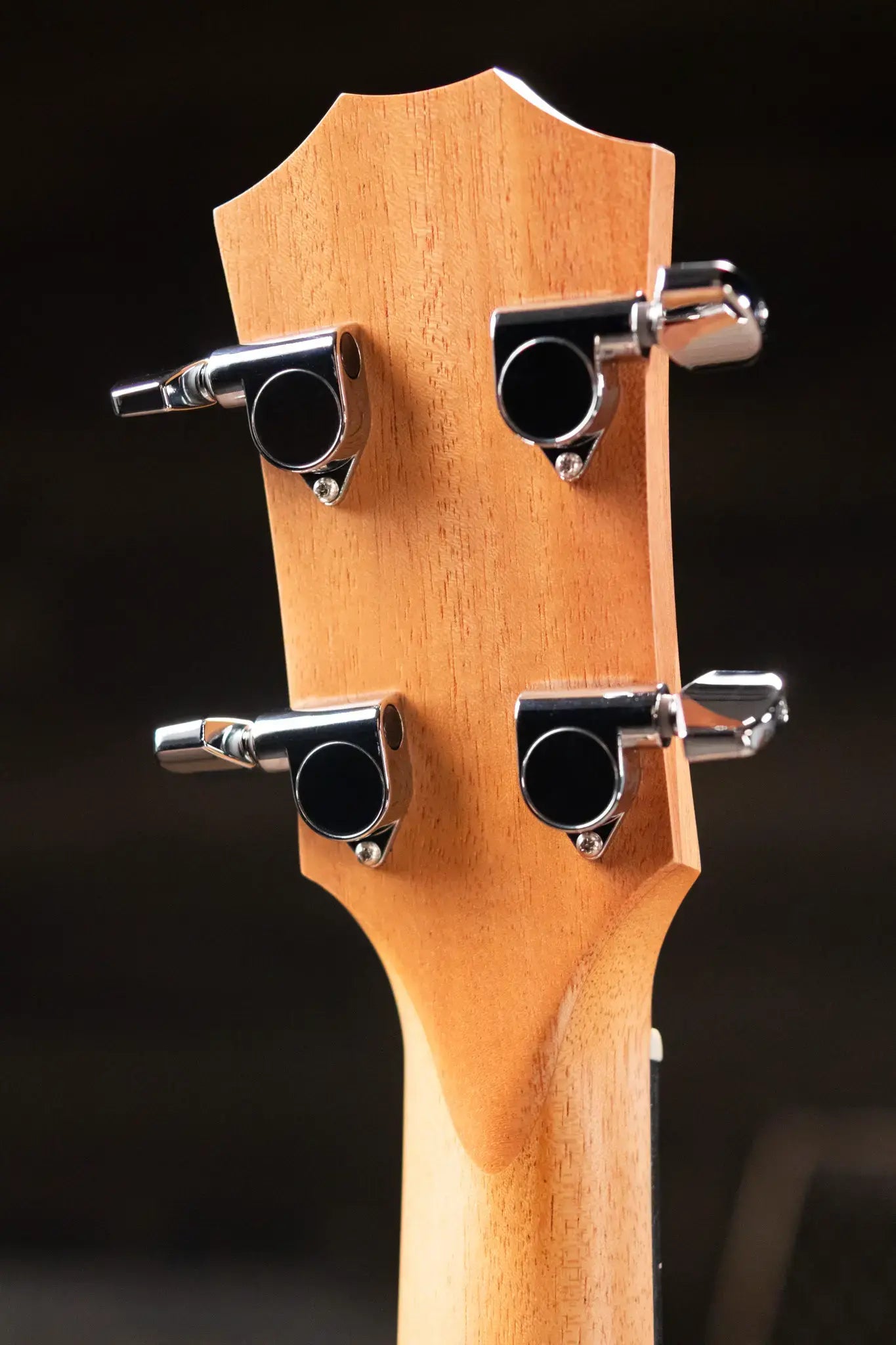 Taylor GS Mini-e Koa Acoustic/Electric Bass with Gig Bag