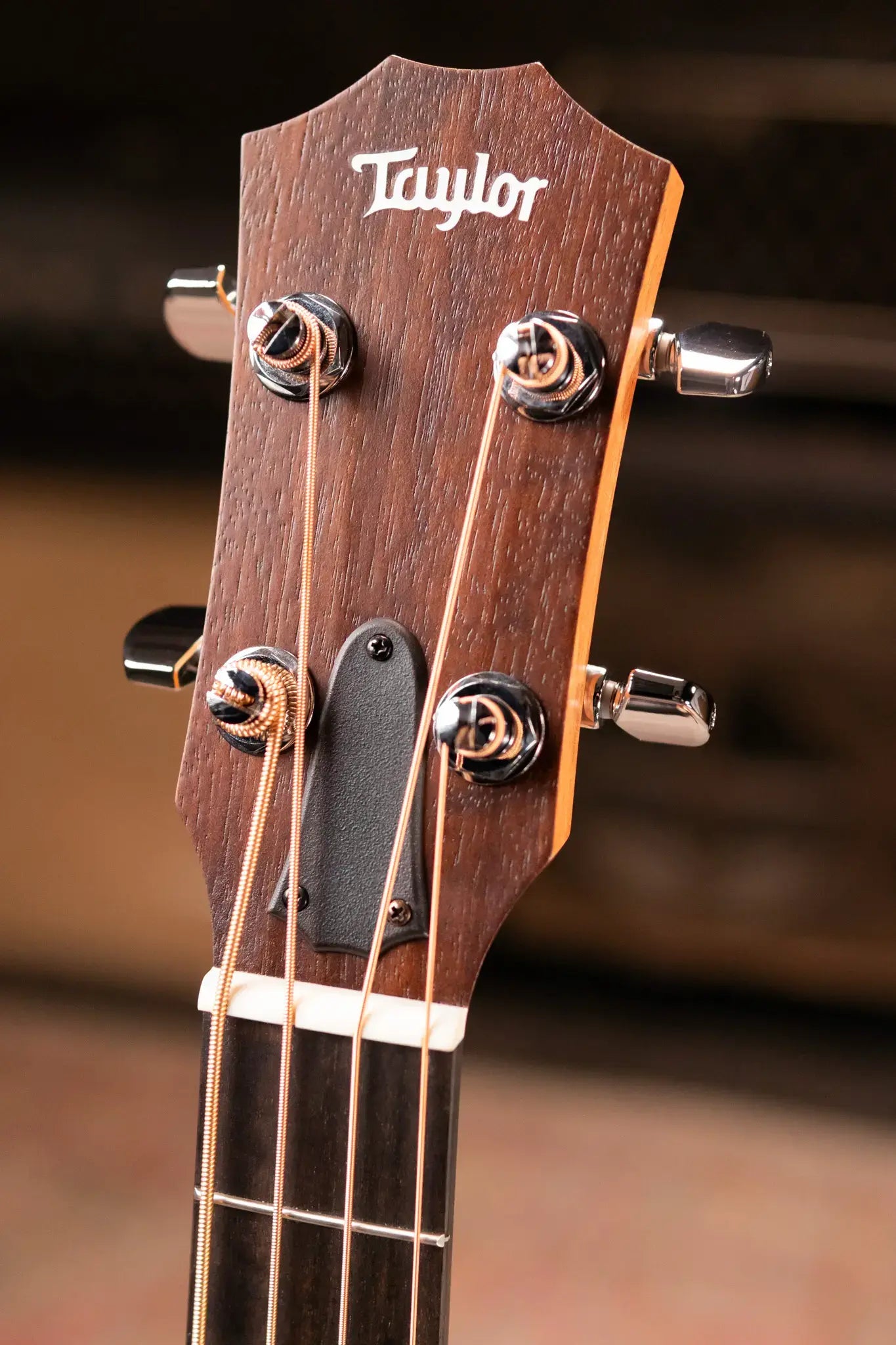 Taylor GS Mini-e Koa Bass with GS Mini Bag