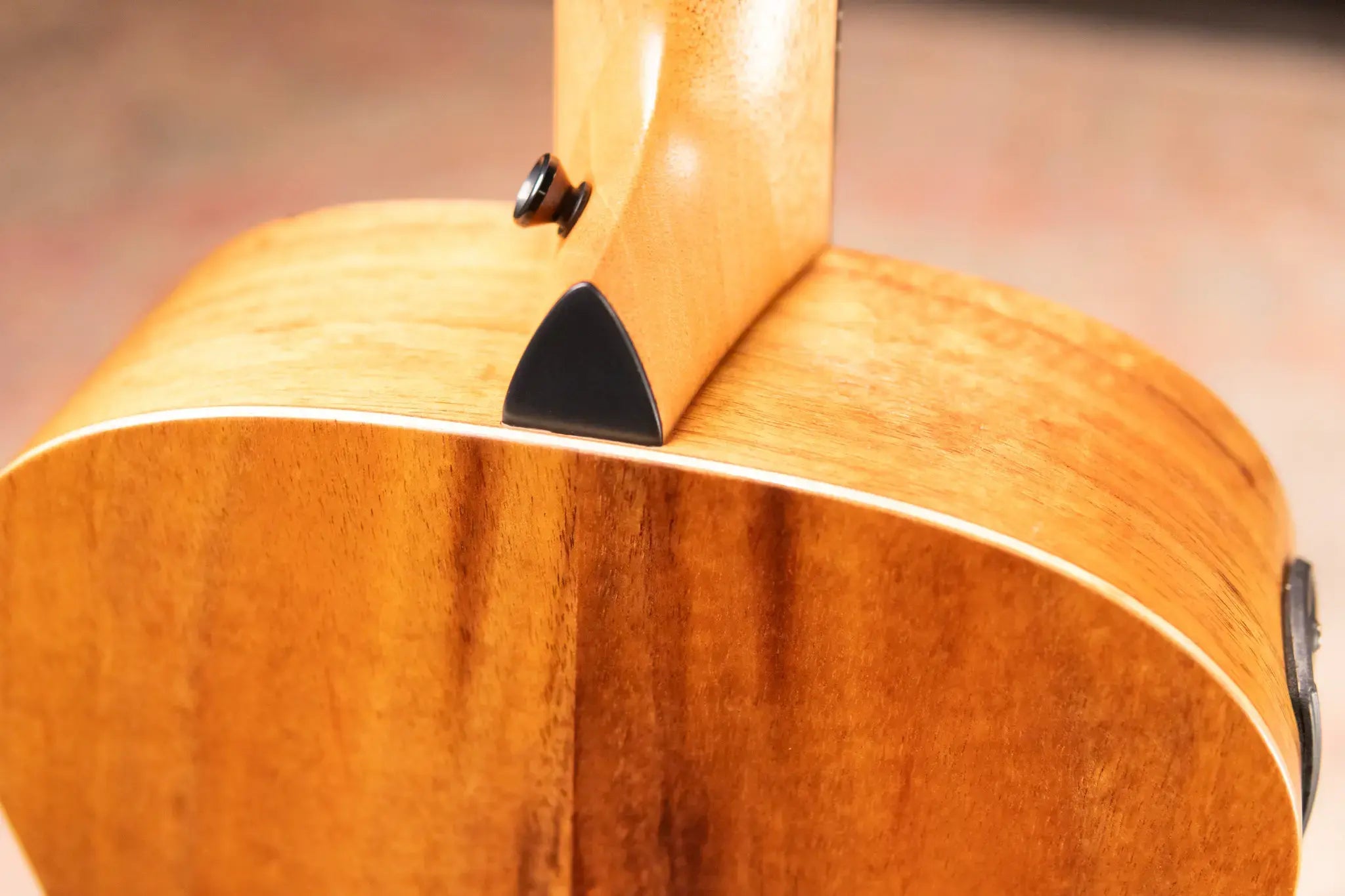 Taylor GS Mini-e Koa Bass with GS Mini Bag