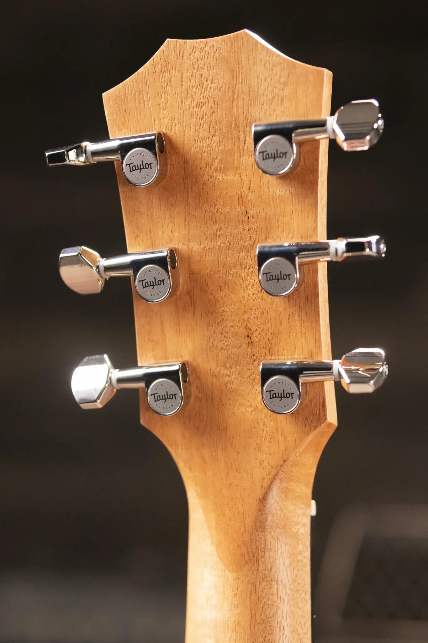 Taylor GS Mini-e Koa Plus Acoustic/Electric Guitar with Aerocase