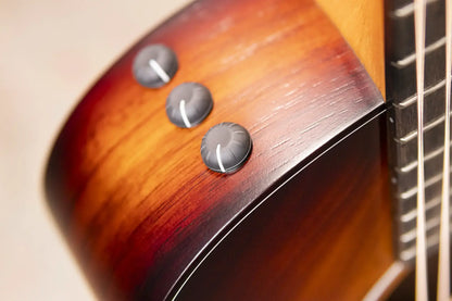 Taylor GS Mini-e Koa Plus Acoustic/Electric Guitar with Aerocase