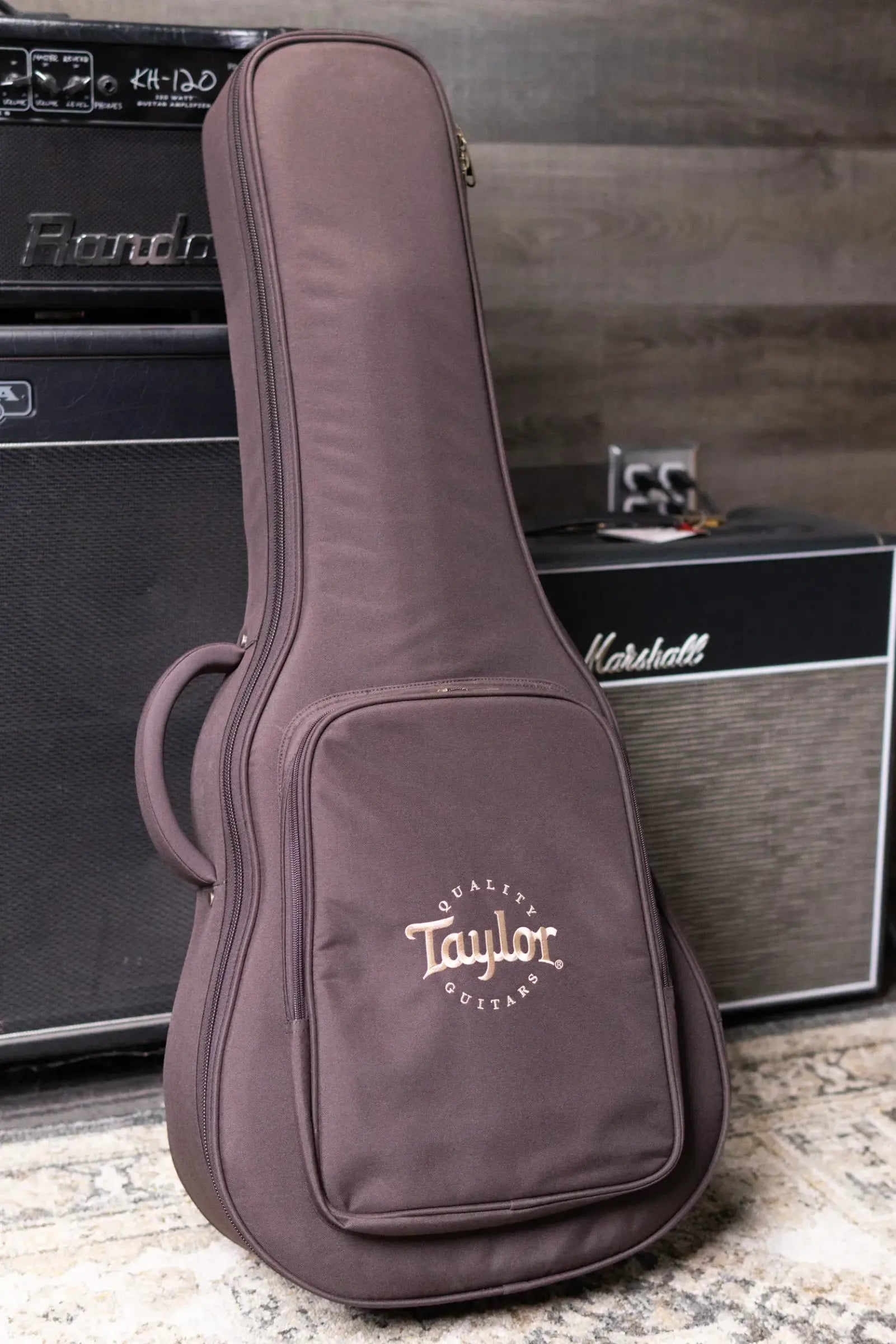 Taylor GS Mini-e Koa Plus Acoustic/Electric Guitar with Aerocase