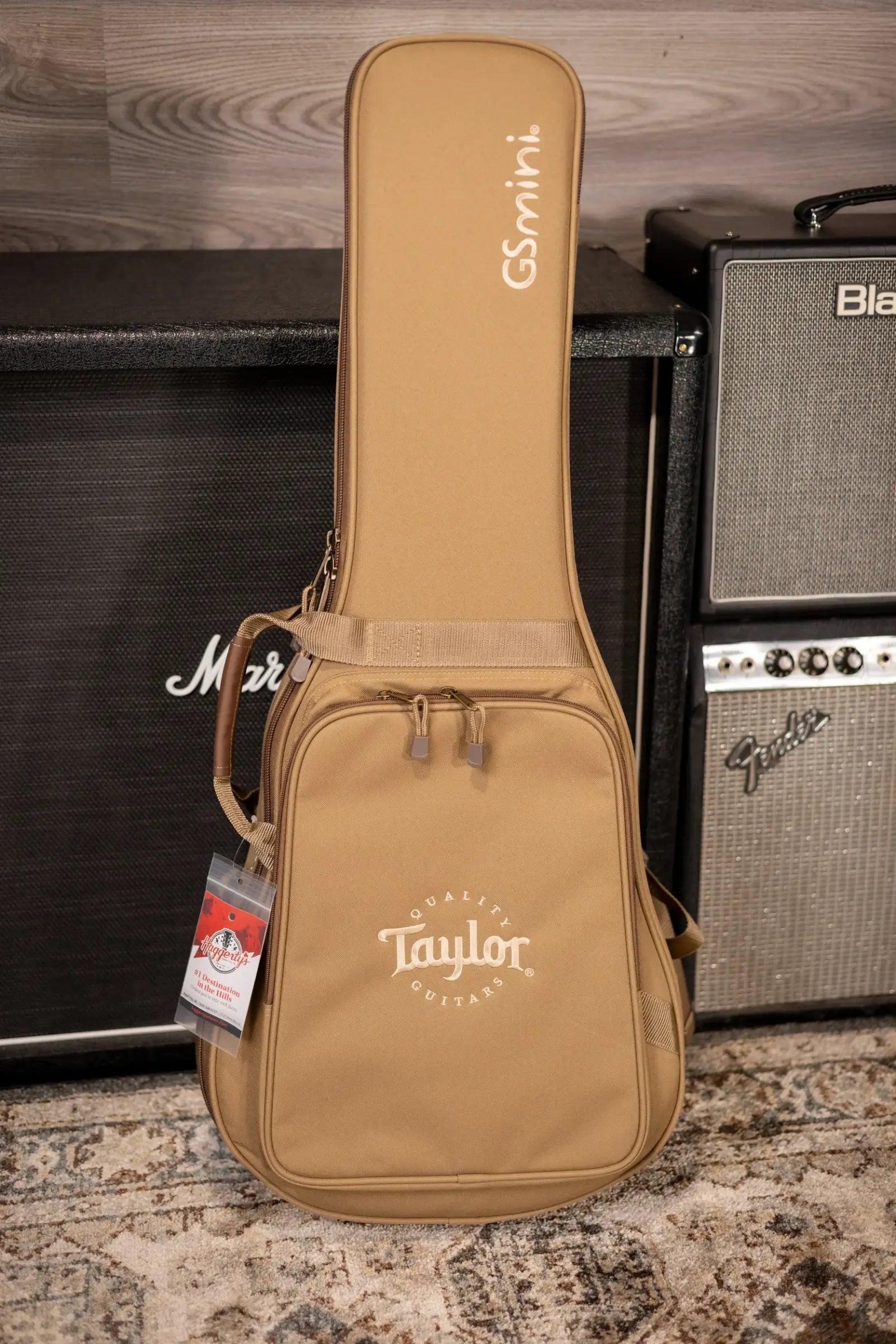 Taylor GS Mini-e Mahogany Acoustic/Electric Guitar with GS Mini Bag