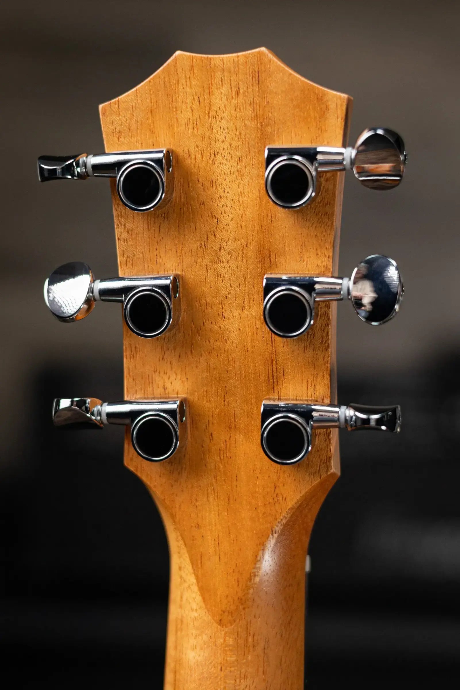 Taylor GS Mini-e Mahogany Acoustic/Electric Guitar with GS Mini Bag