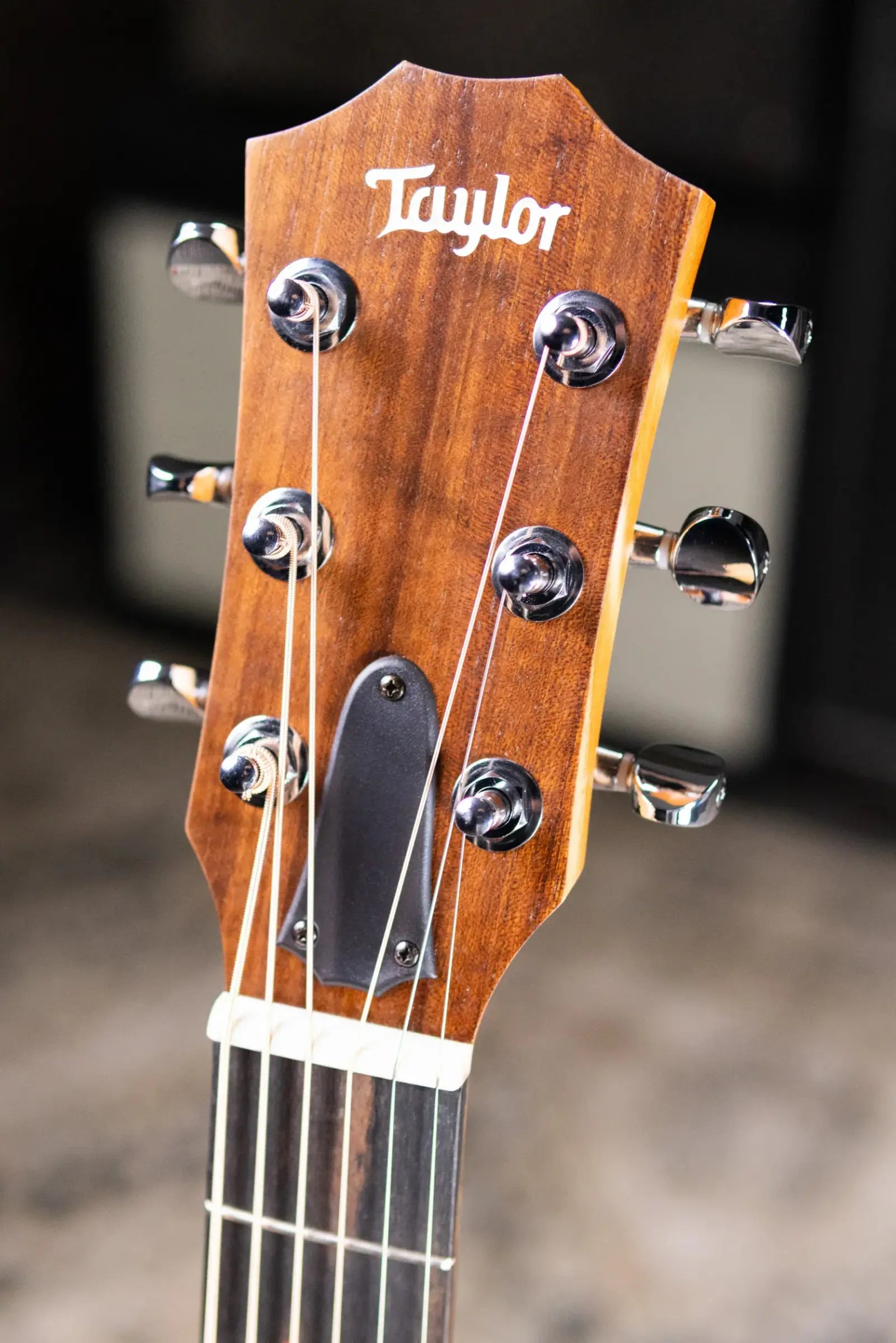 Taylor GS Mini-e Mahogany Acoustic/Electric Guitar with GS Mini Hard Bag