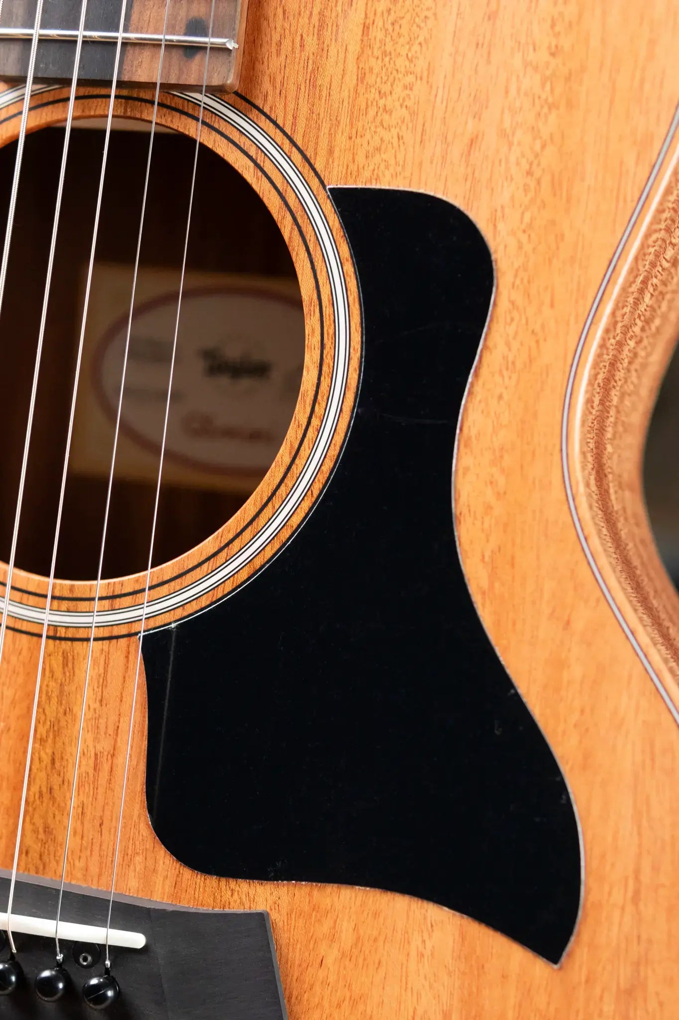 Taylor GS Mini-e Mahogany Acoustic/Electric with GS Mini Bag