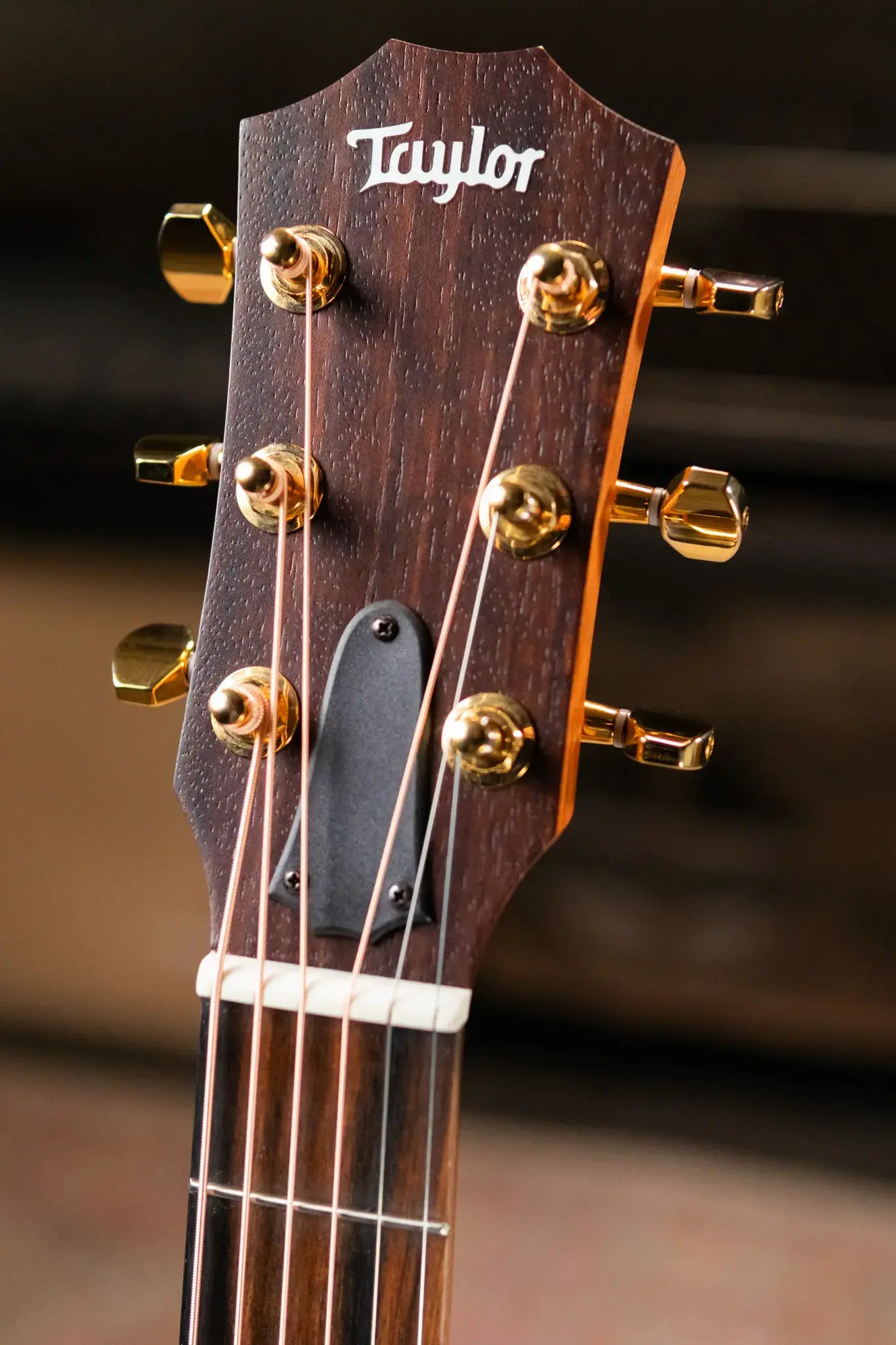 Taylor GS Mini-e Rosewood LTD 50th Anniversary Acoustic/Electric Guitar with GS Mini Bag