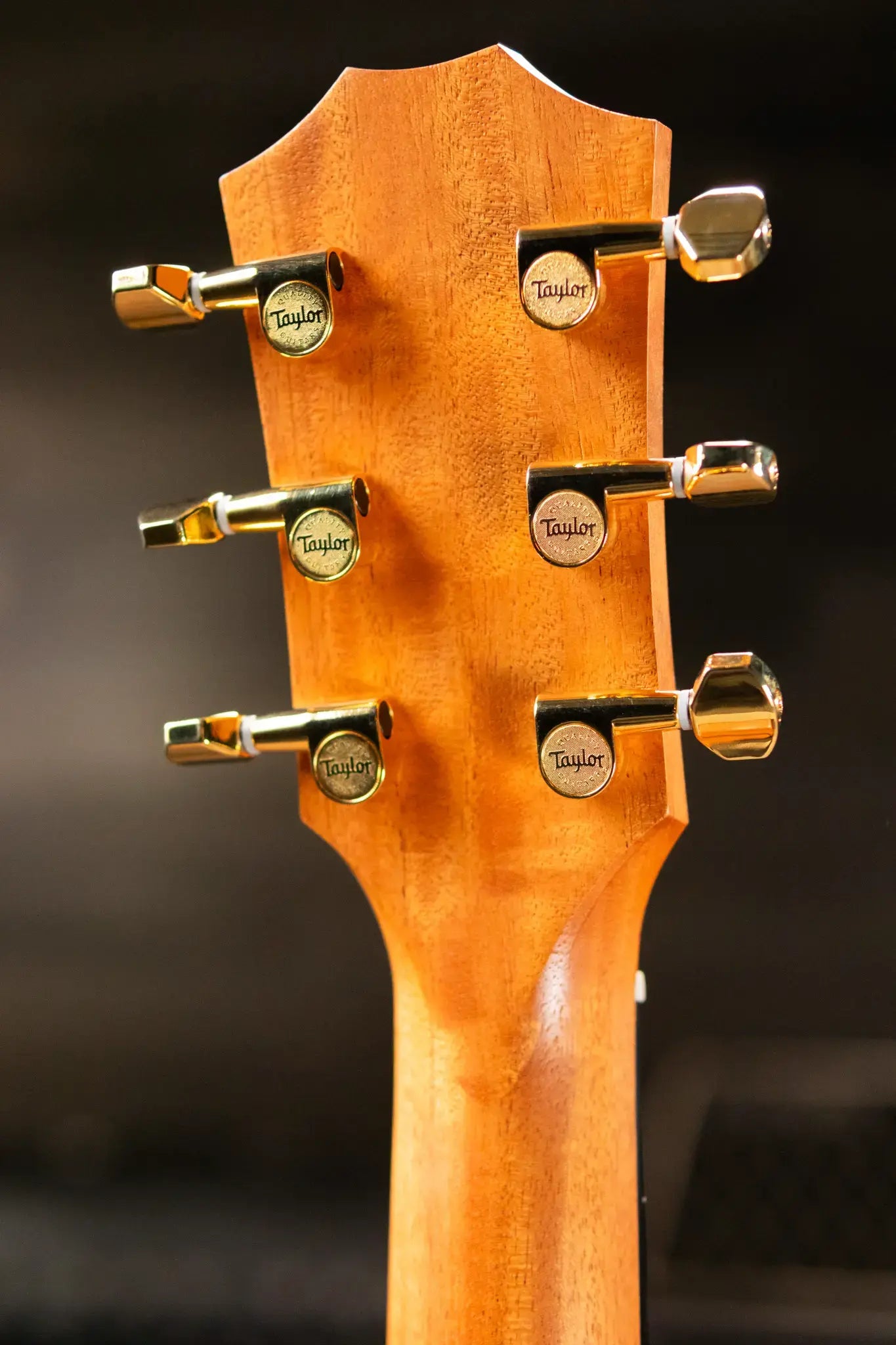 Taylor GS Mini-e Rosewood LTD 50th Anniversary Acoustic/Electric Guitar with GS Mini Bag