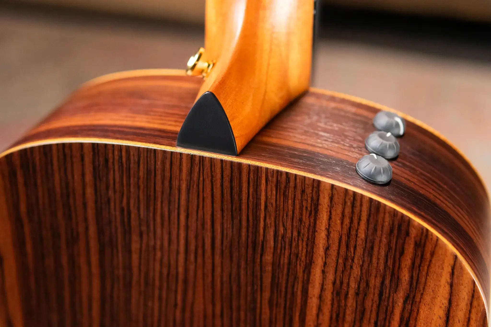 Taylor GS Mini-e Rosewood LTD 50th Anniversary Acoustic/Electric Guitar with GS Mini Bag
