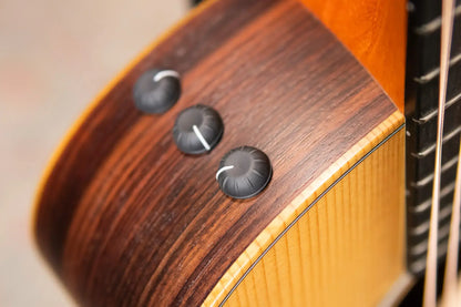Taylor GS Mini-e Rosewood LTD 50th Anniversary Acoustic/Electric Guitar with GS Mini Bag