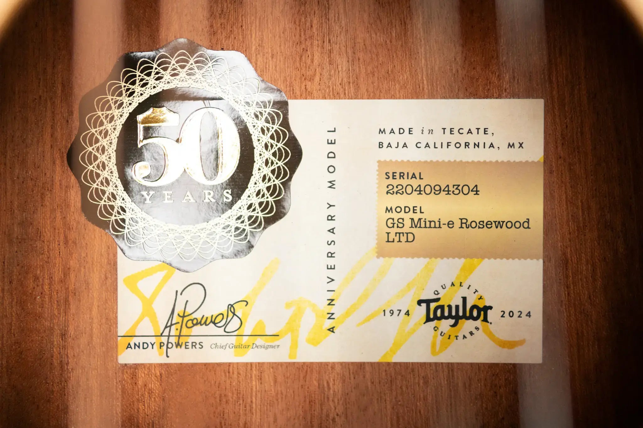 Taylor GS Mini-e Rosewood LTD 50th Anniversary Acoustic/Electric Guitar with GS Mini Bag