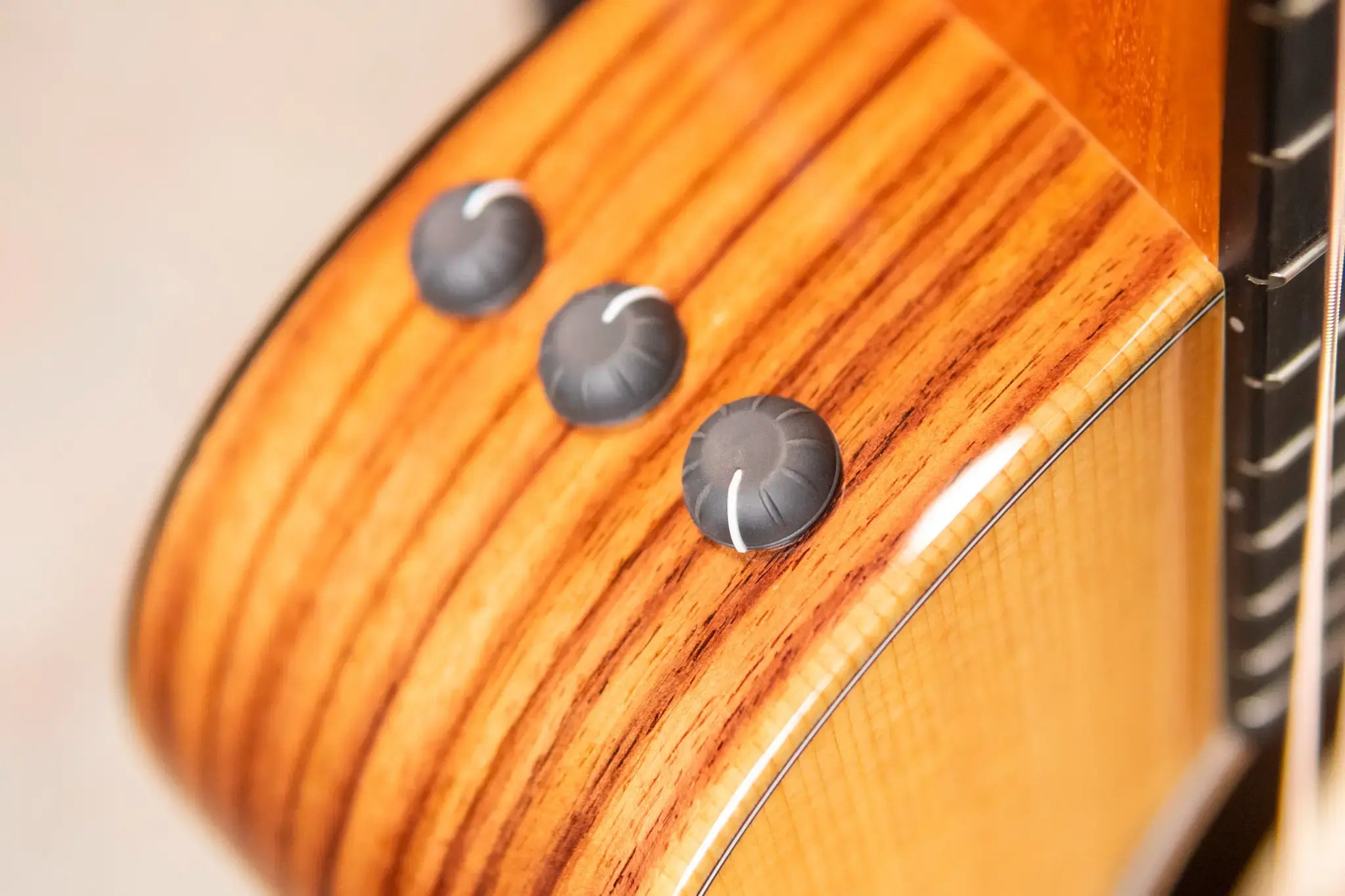 Taylor GS Mini-e Rosewood Plus Acoustic/Electric Guitar with Aerocase