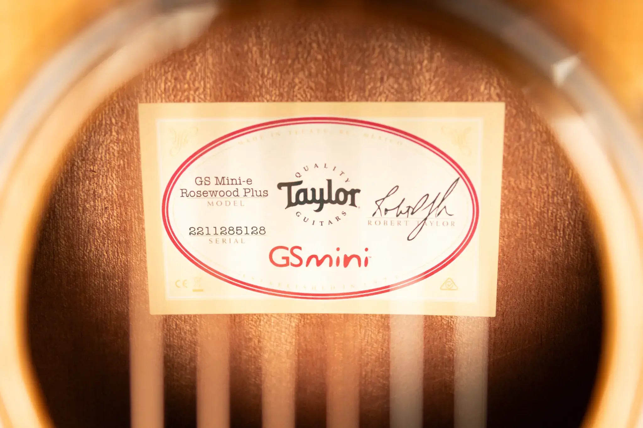 Taylor GS Mini-e Rosewood Plus Acoustic/Electric Guitar with Aerocase