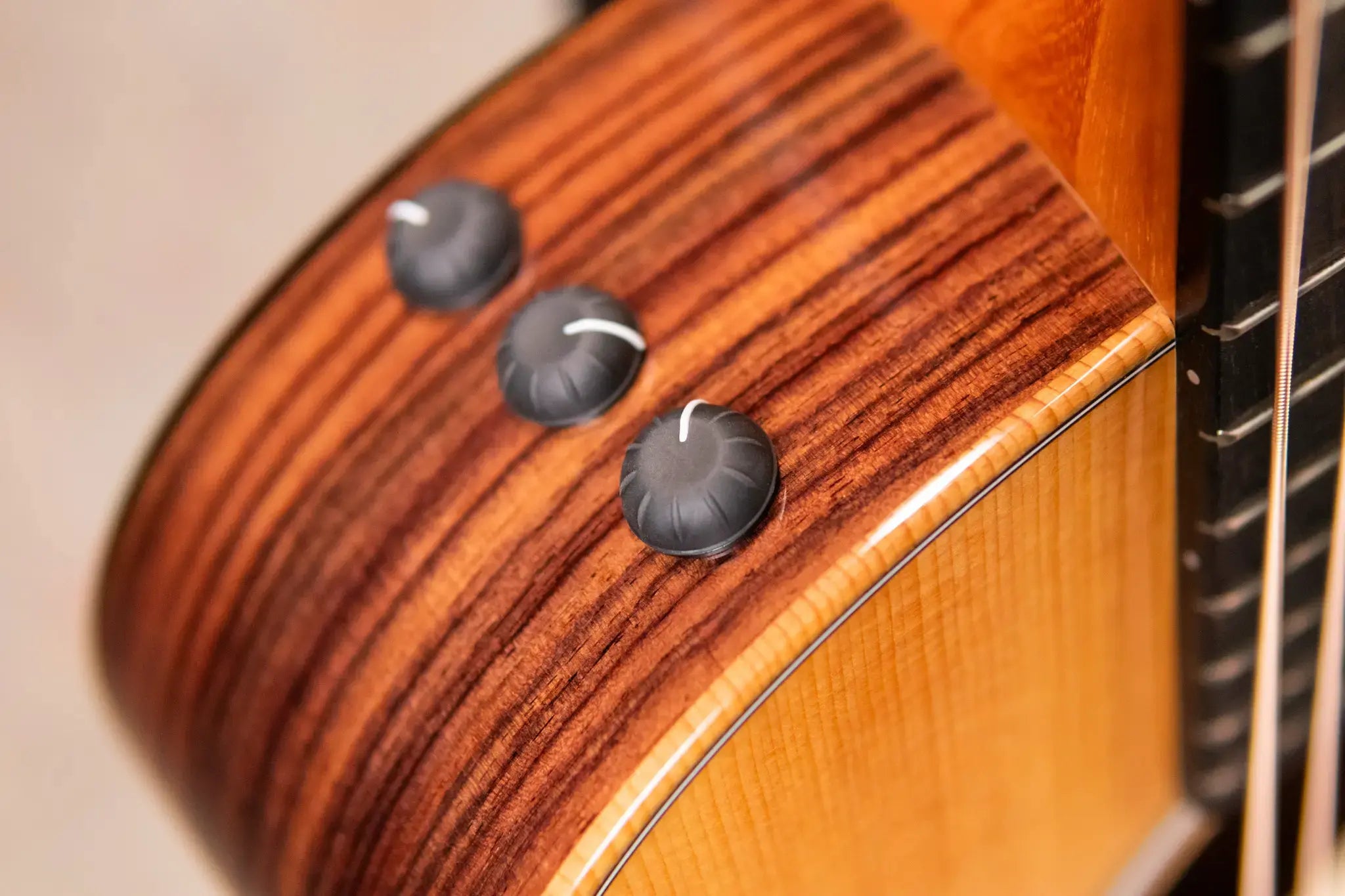 Taylor GS Mini-e Rosewood Plus Acoustic/Electric Guitar with Aerocase