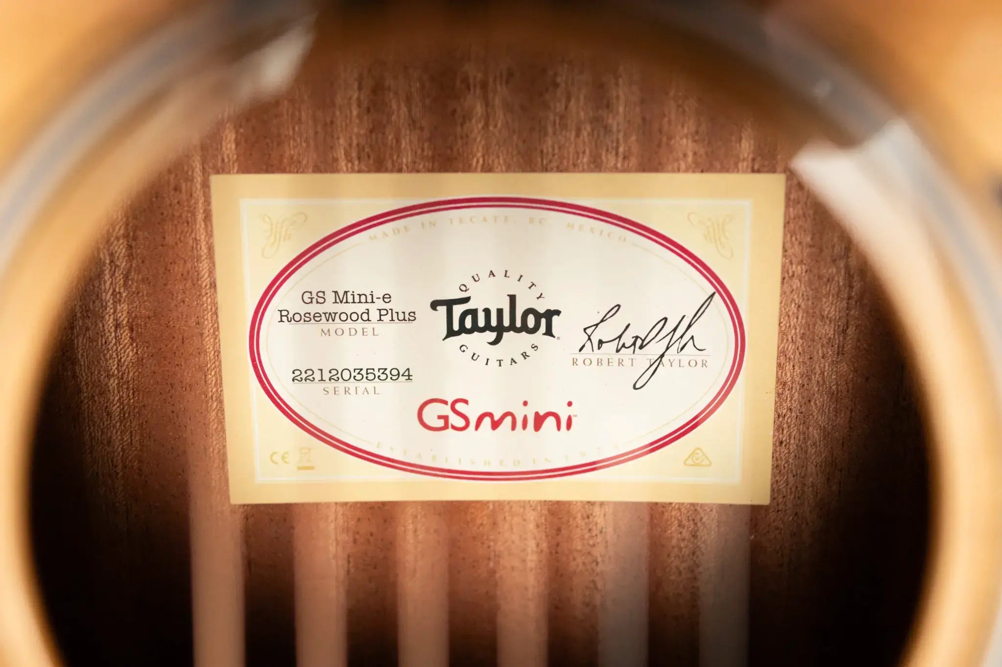 Taylor GS Mini-e Rosewood Plus Acoustic/Electric Guitar with Aerocase