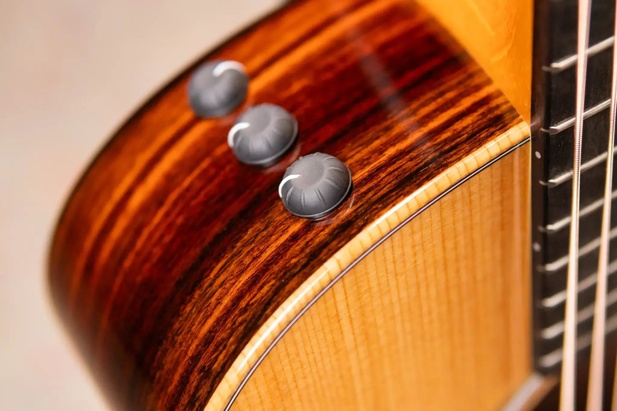 Taylor GS Mini-e Rosewood Plus Acoustic/Electric Guitar with Aerocase