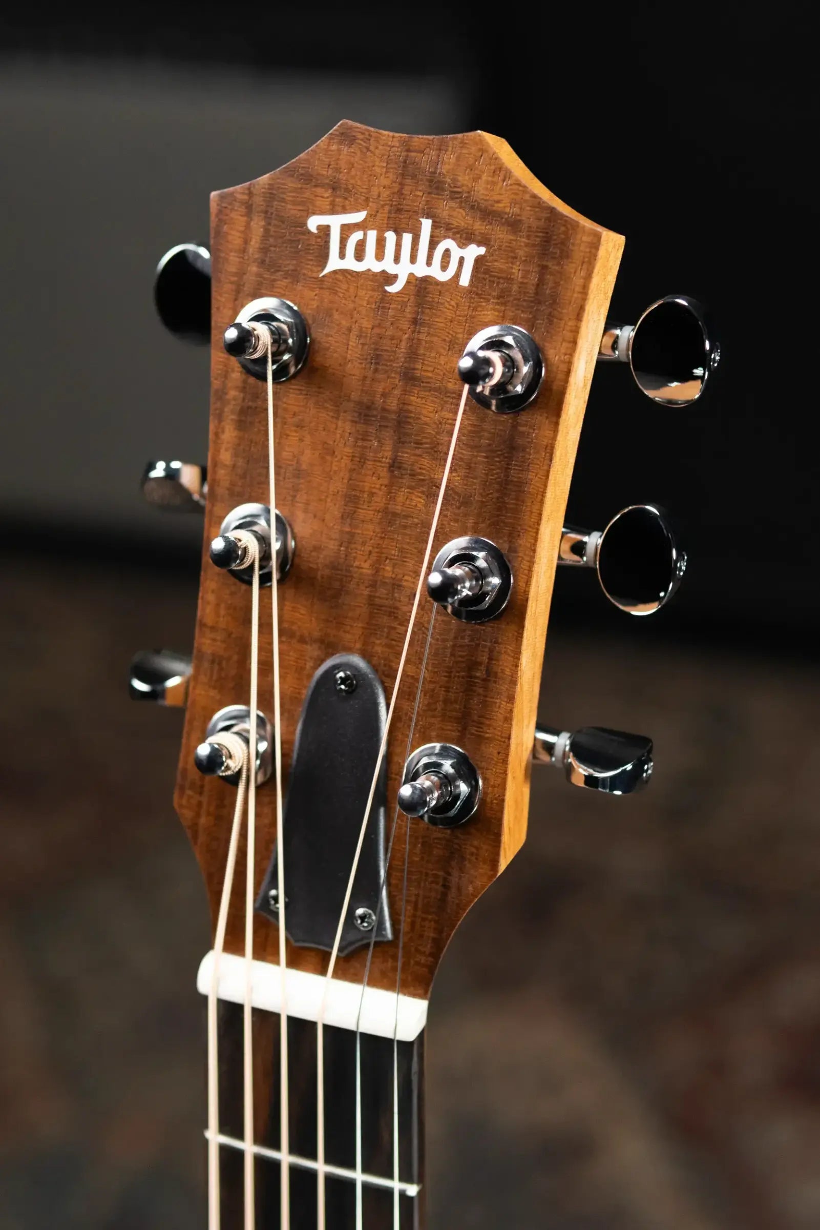 Taylor GS Mini-e Special Edition Acoustic/Electric Guitar - Blue Floral with GS Mini Hard Bag