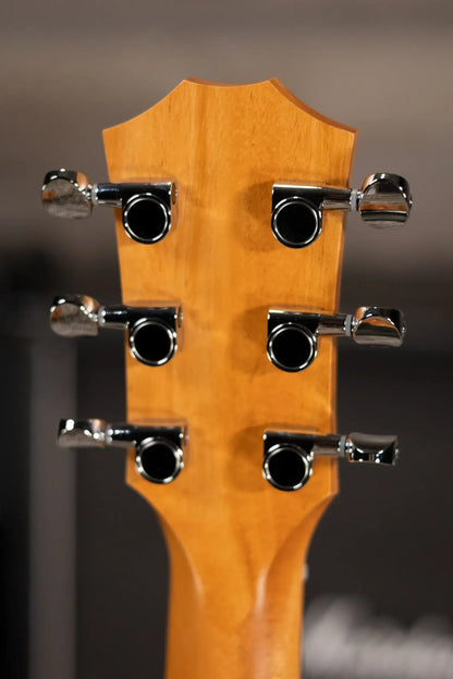 Taylor GS Mini-e Special Edition Acoustic/Electric Guitar - Floral Green with GS Mini Hard Bag