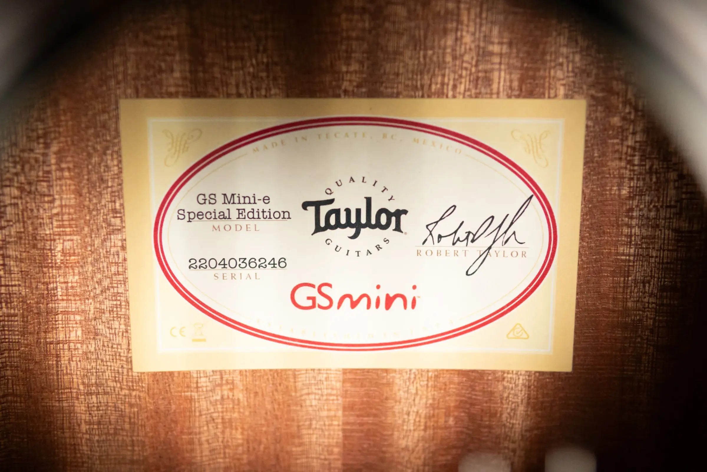 Taylor GS Mini-e Special Edition Acoustic/Electric Guitar - Olive with GS Mini Bag