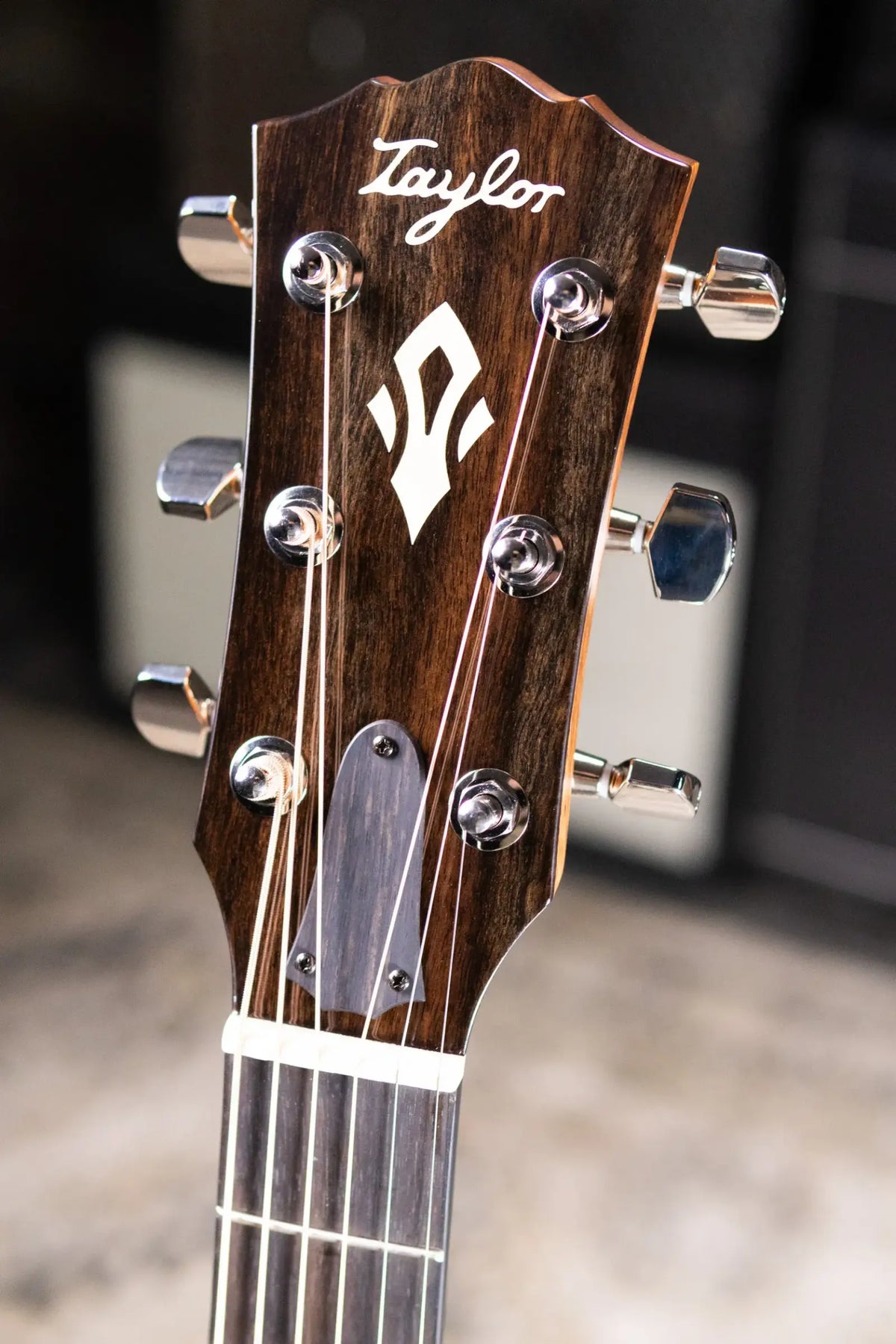 Taylor Gold Label 512e Grand Concert Acoustic/Electric Guitar - Natural with Hardshell Case