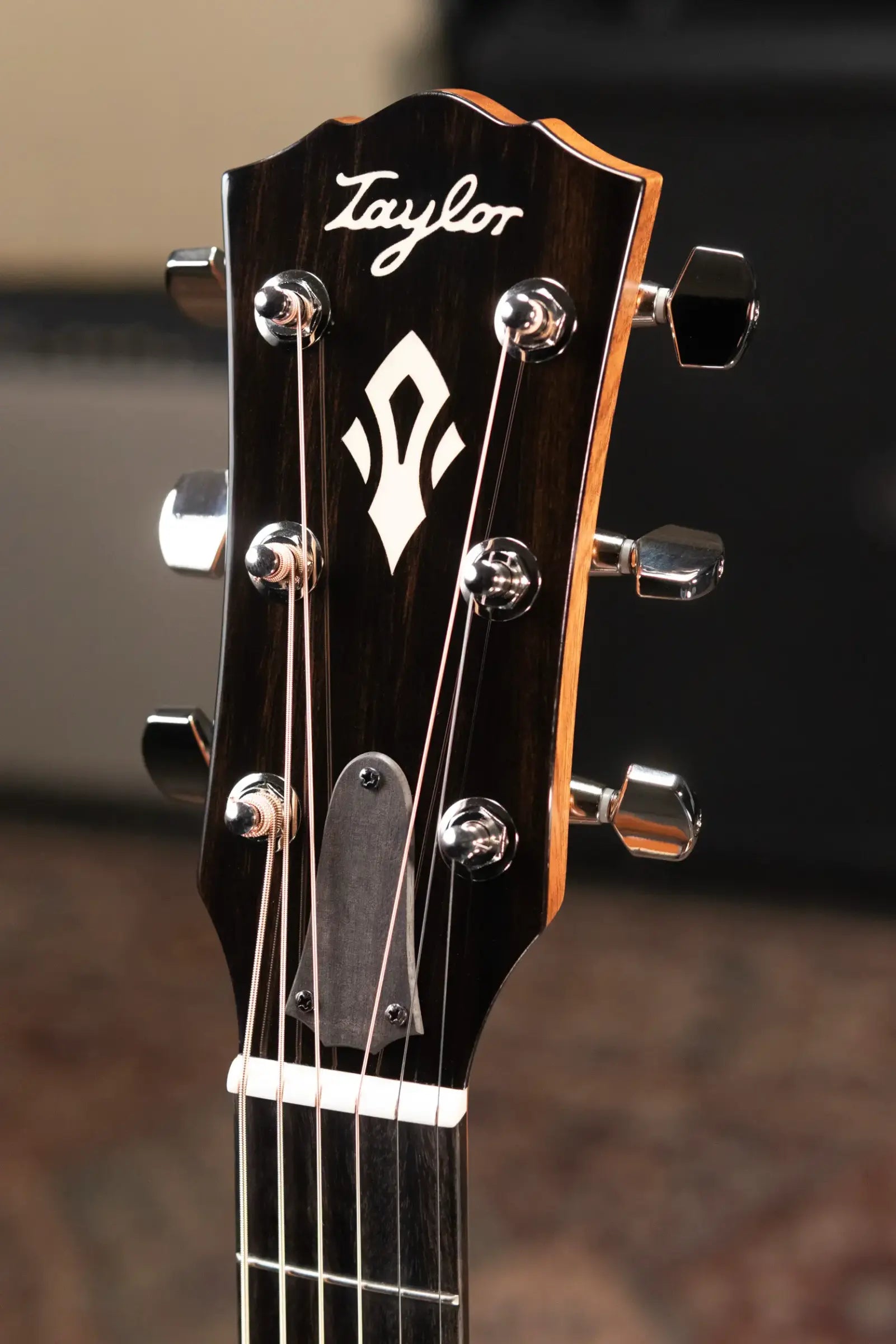 Taylor Gold Label 514e SB Super Auditorium Acoustic/Electric Guitar - Sunburst with Firestripe Pickguard and Hardshell Case