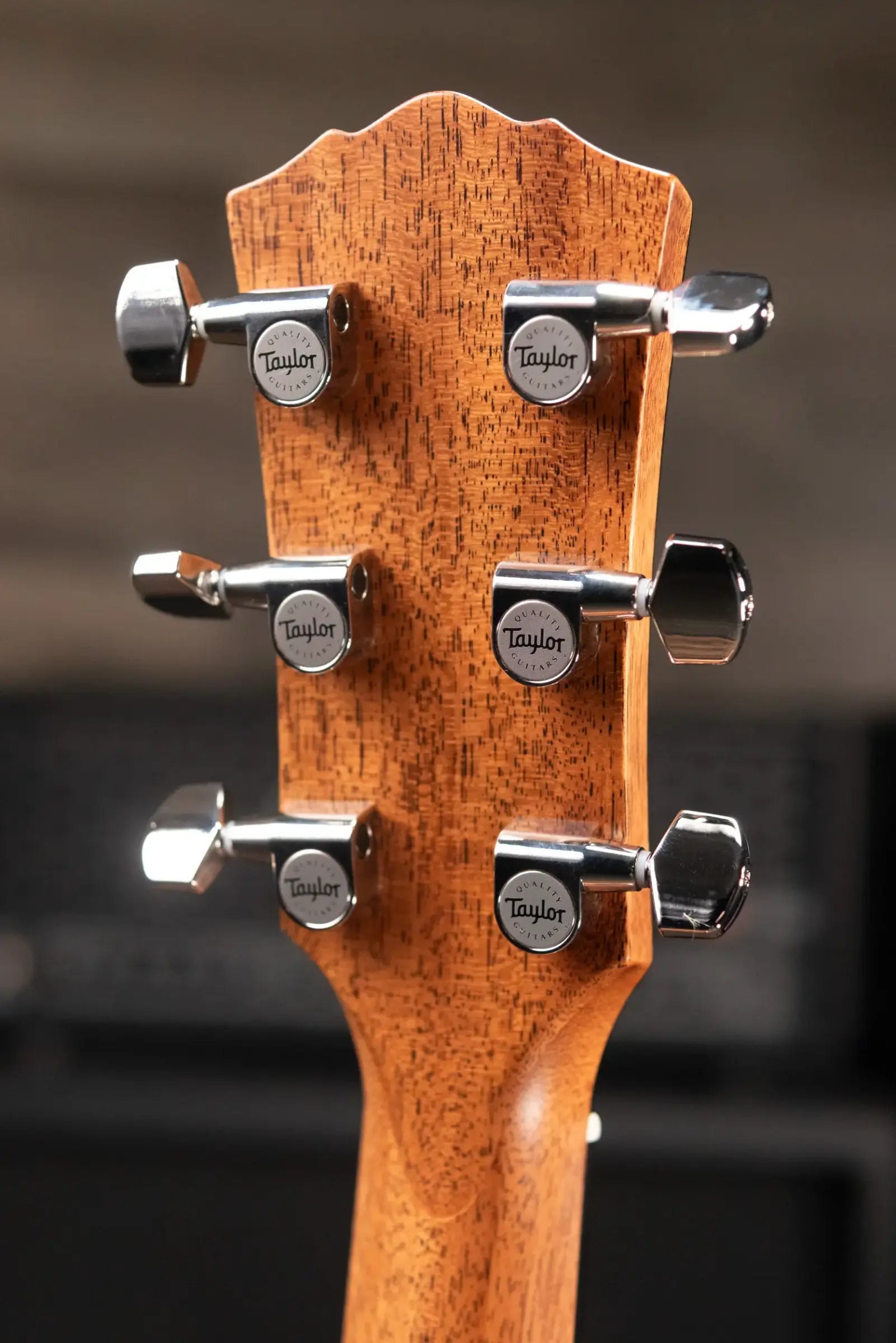 Taylor Gold Label 514e SB Super Auditorium Acoustic/Electric Guitar - Sunburst with Firestripe Pickguard and Hardshell Case