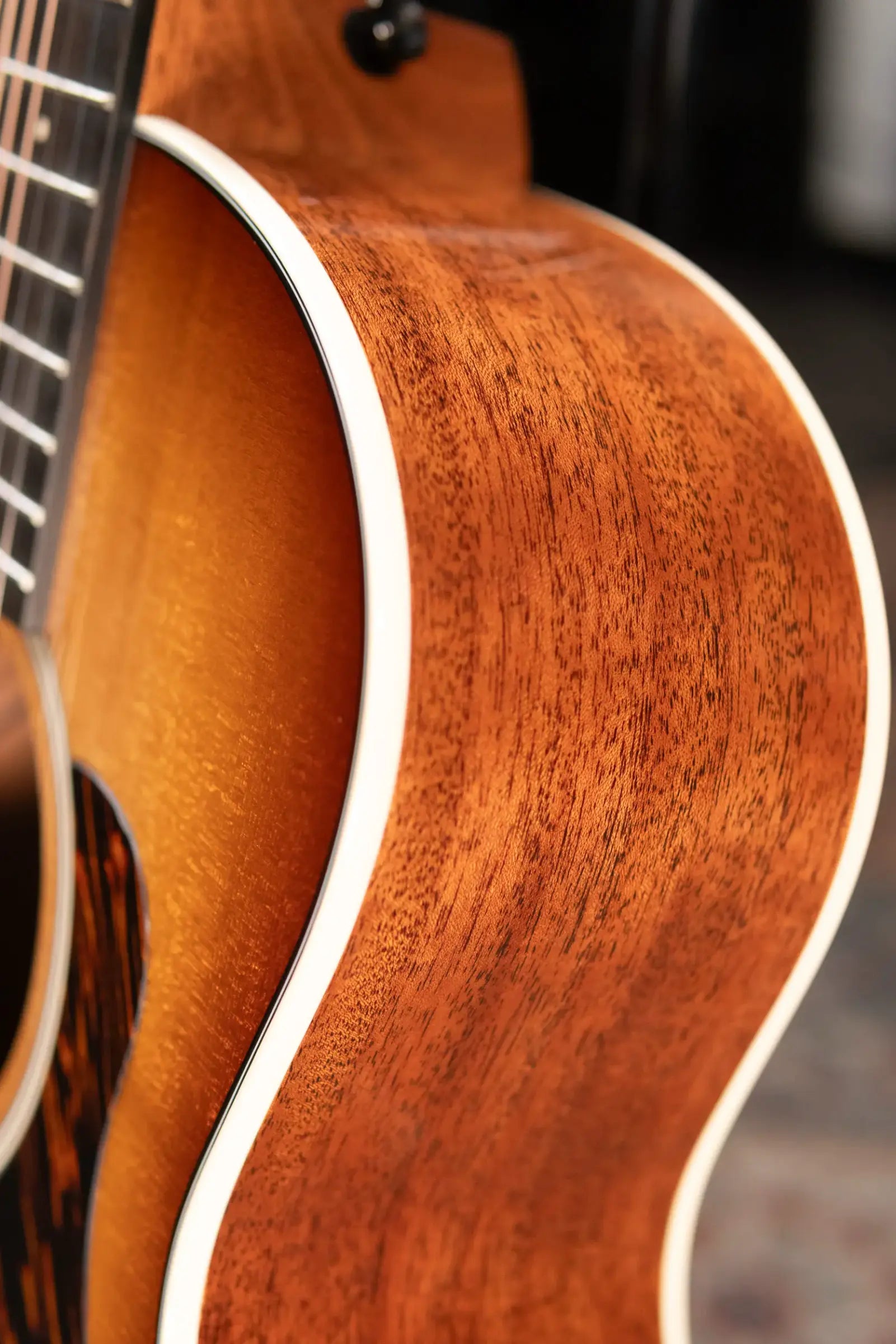 Taylor Gold Label 514e SB Super Auditorium Acoustic/Electric Guitar - Sunburst with Firestripe Pickguard and Hardshell Case