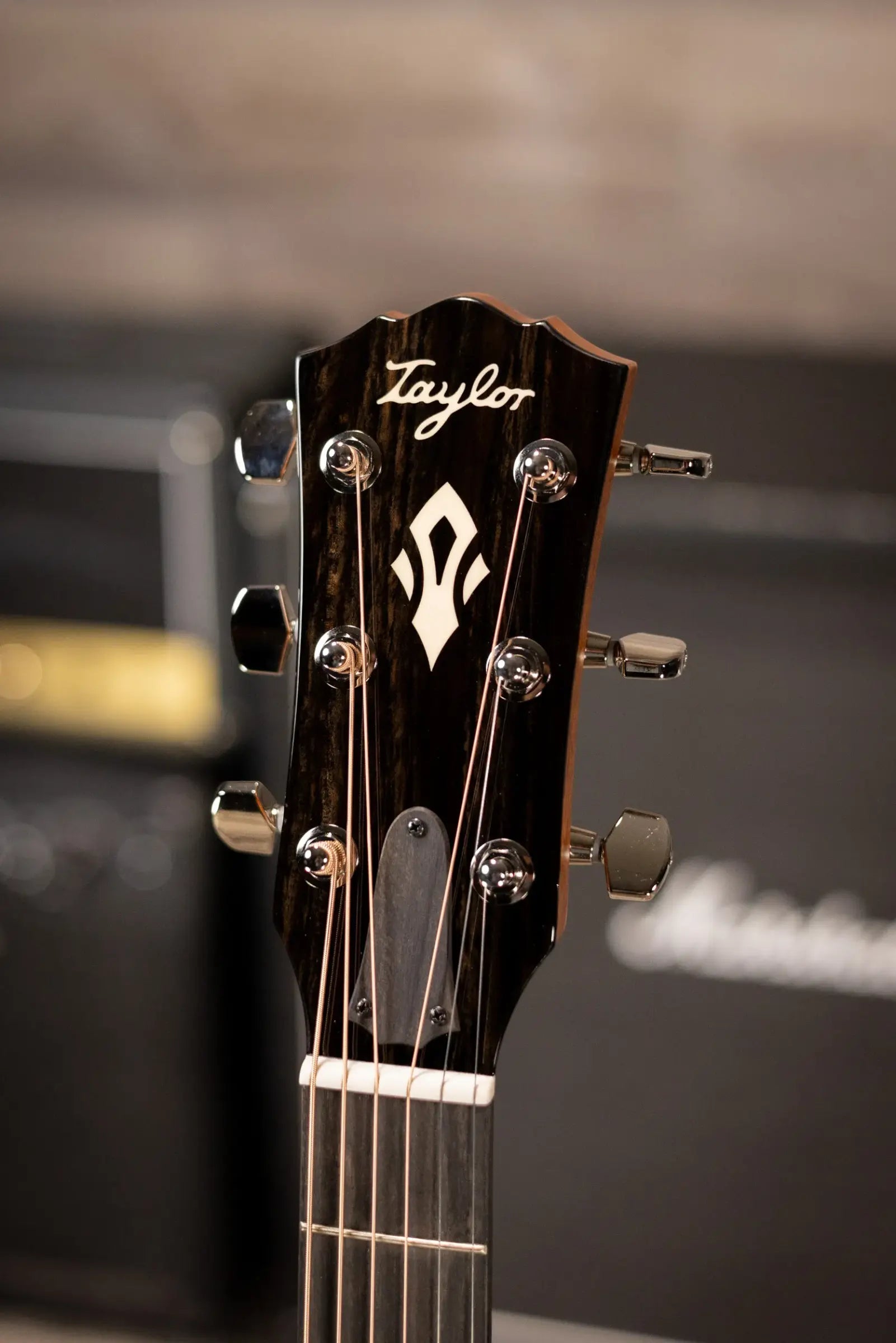 Taylor Gold Label 514e Super Auditorium Acoustic/Electric Guitar - Blacktop with Hardshell Case