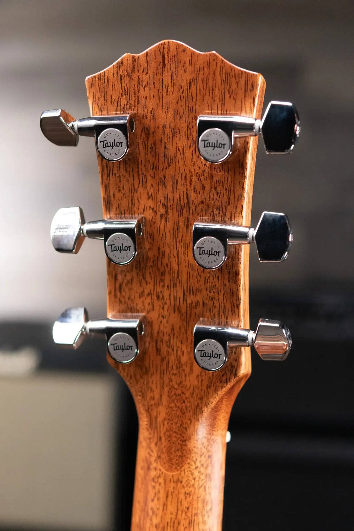 Taylor Gold Label 514e Super Auditorium Acoustic/Electric Guitar with Hardshell Case