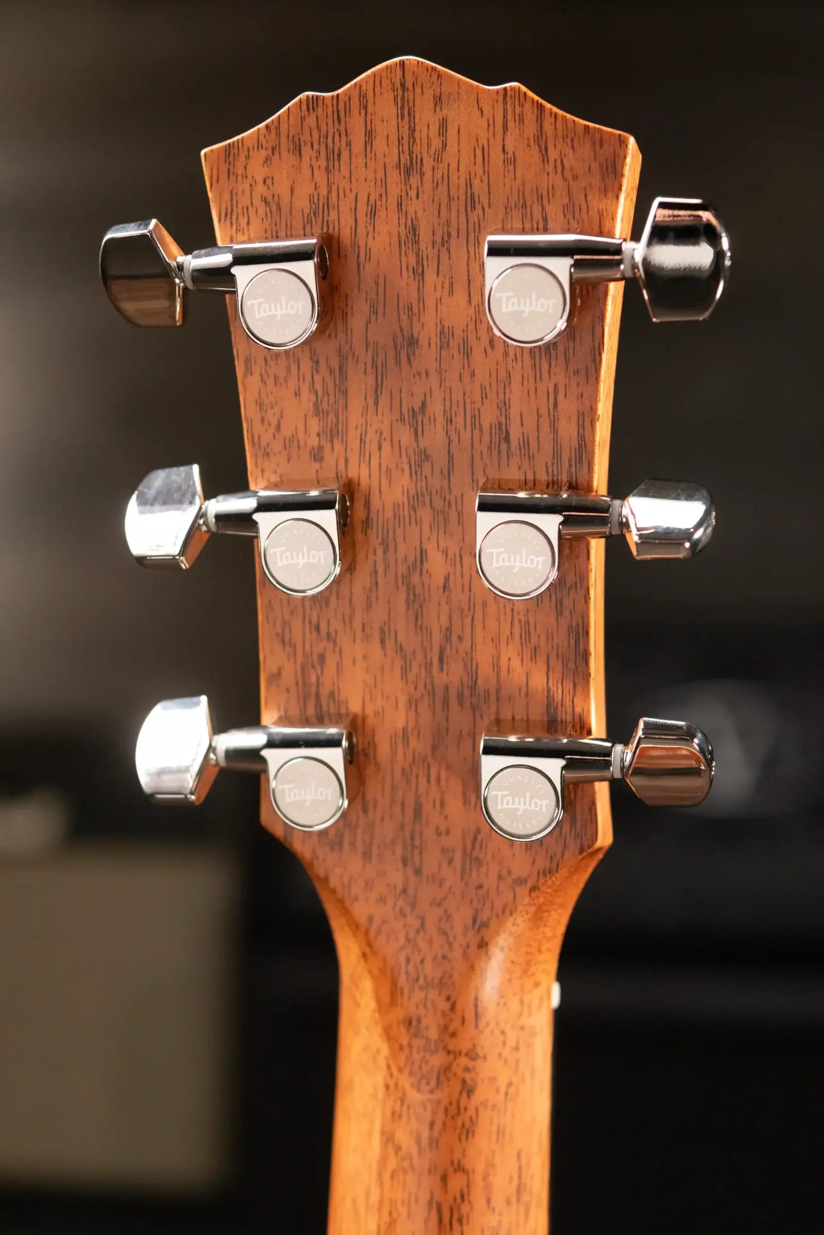 Taylor Gold Label 517e Grand Pacific Acoustic/Electric Guitar - Natural with Hardshell Case