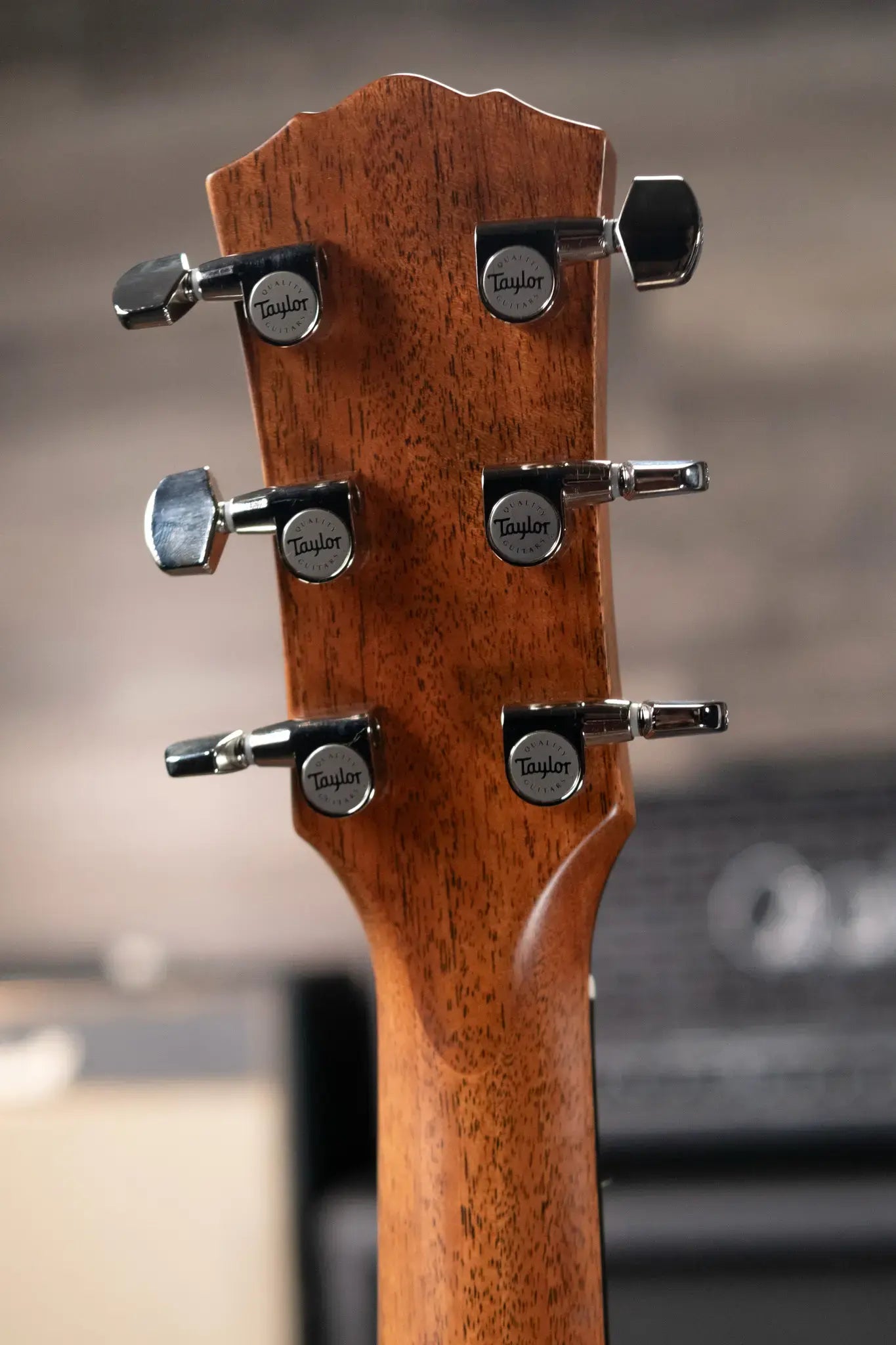 Taylor Gold Label 517e Grand Pacific Acoustic/Electric Guitar - Sunburst with Firestripe Pickguard and Hardshell Case