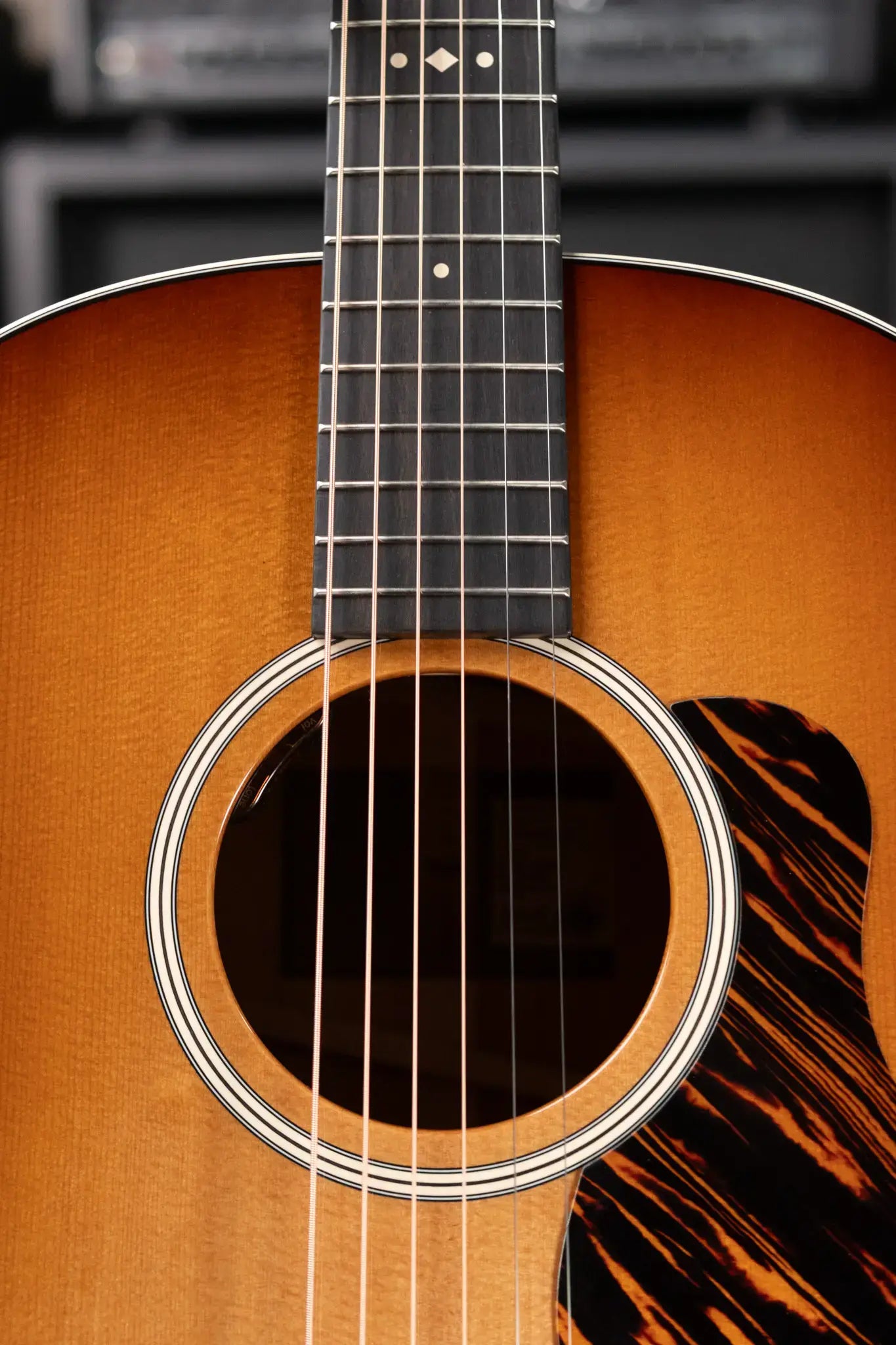 Taylor Gold Label 517e Grand Pacific Acoustic/Electric Guitar - Sunburst with Firestripe Pickguard and Hardshell Case