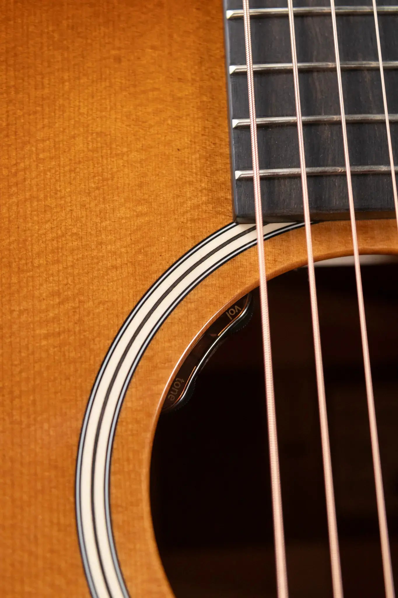 Taylor Gold Label 517e Grand Pacific Acoustic/Electric Guitar - Sunburst with Firestripe Pickguard and Hardshell Case