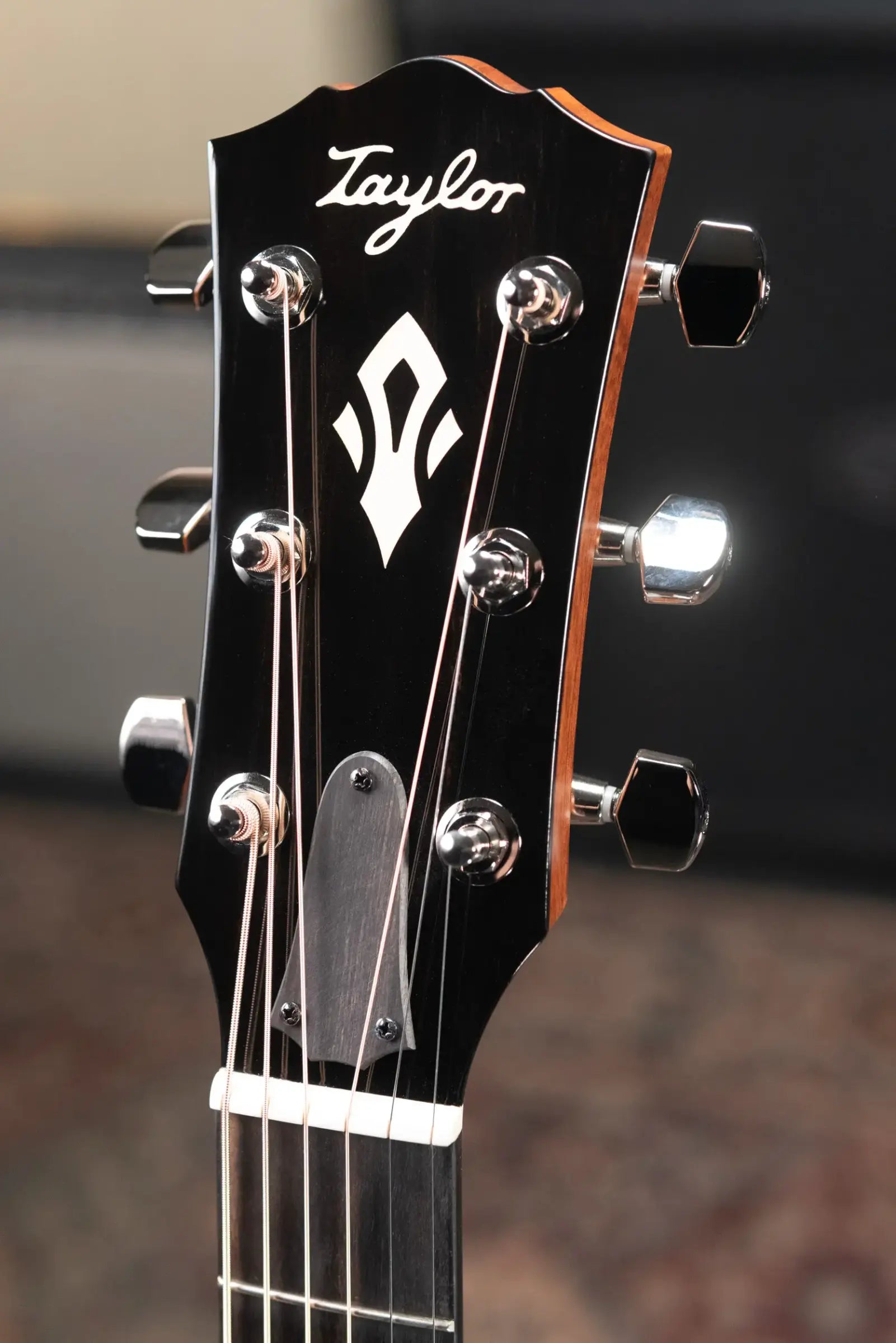 Taylor Gold Label 517e SB Grand Pacific Acoustic/Electric Guitar - Sunburst with Cream Pickguard and Hardshell Case