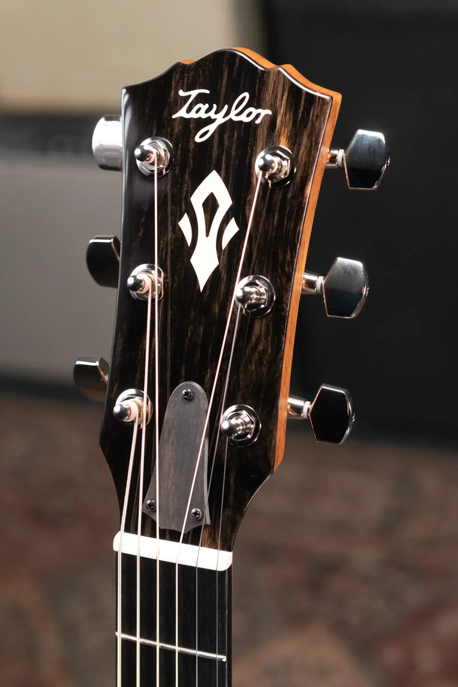 Taylor Gold Label 710e Dreadnought Acoustic/Electric Guitar with Hardshell Case