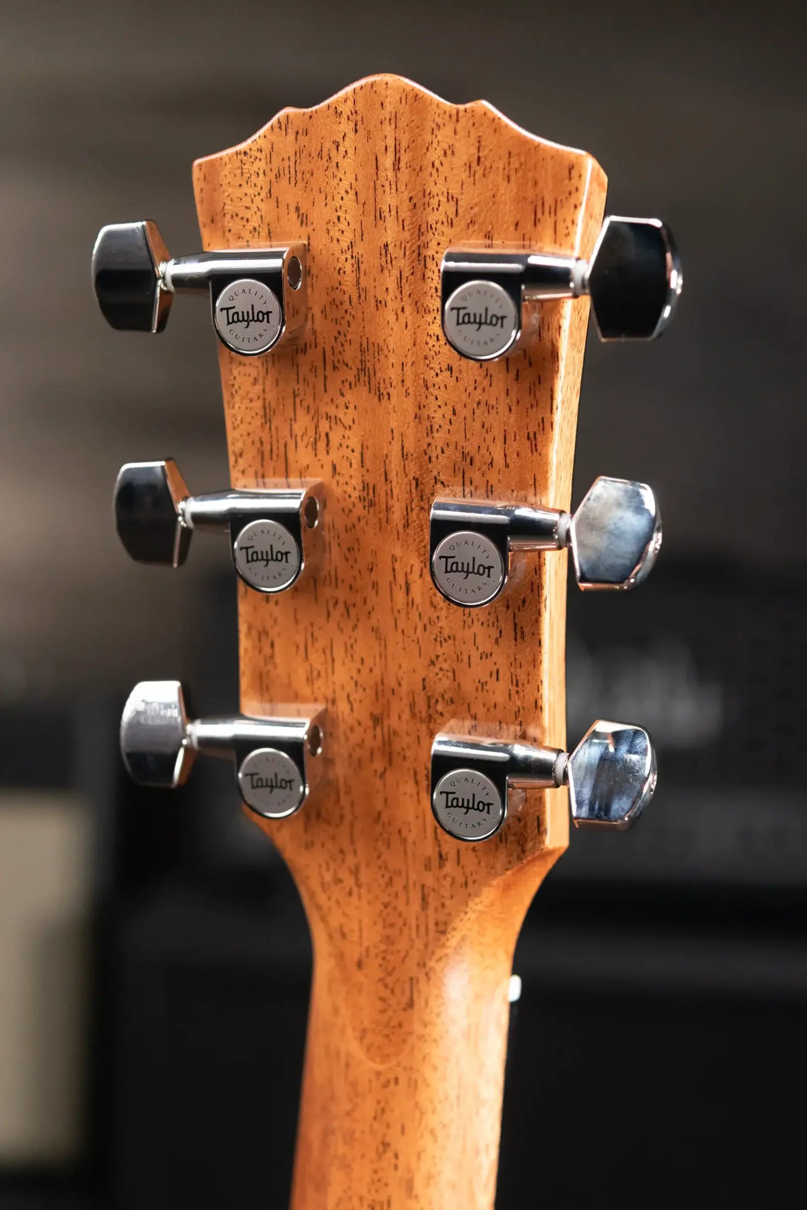 Taylor Gold Label 710e Dreadnought Acoustic/Electric Guitar with Hardshell Case