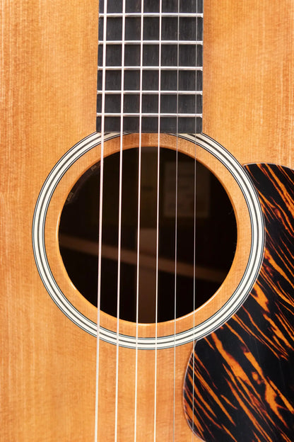 Taylor Gold Label 710e Dreadnought Acoustic/Electric Guitar with Hardshell Case