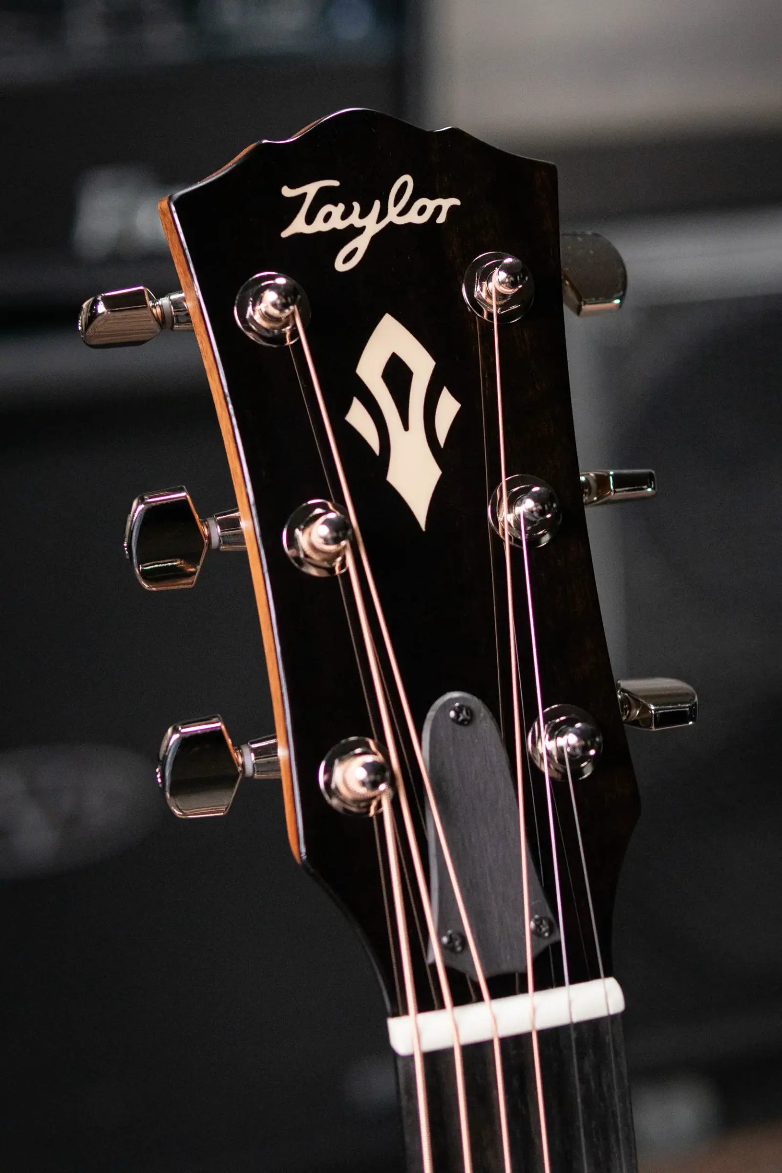 Taylor Gold Label 714e Super Auditorium Acoustic/Electric Guitar - with Hardshell Case