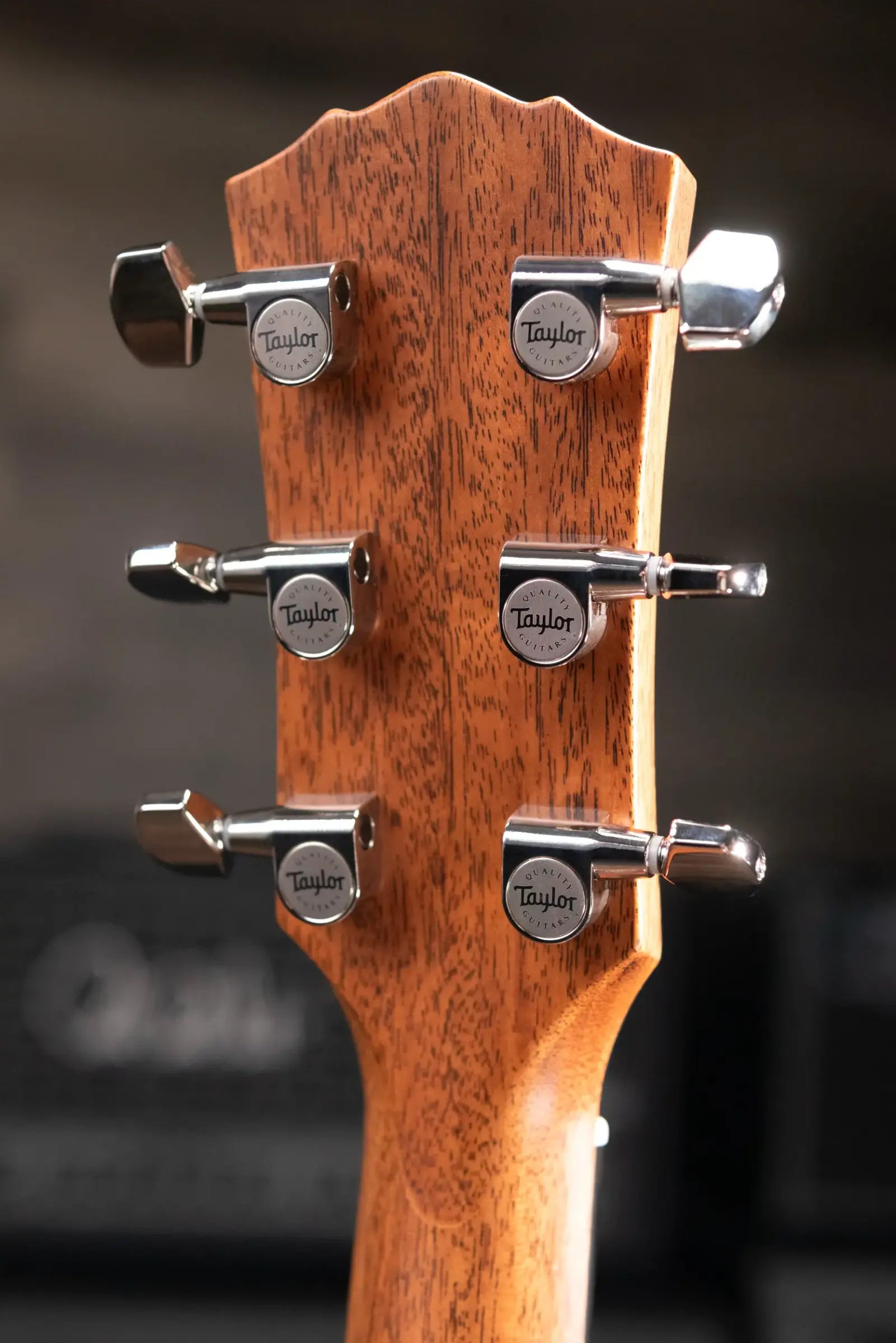 Taylor Gold Label 717e SB Grand Pacific Acoustic/Electric Guitar - Sunburst with Firestripe Pickguard and Hardshell Case